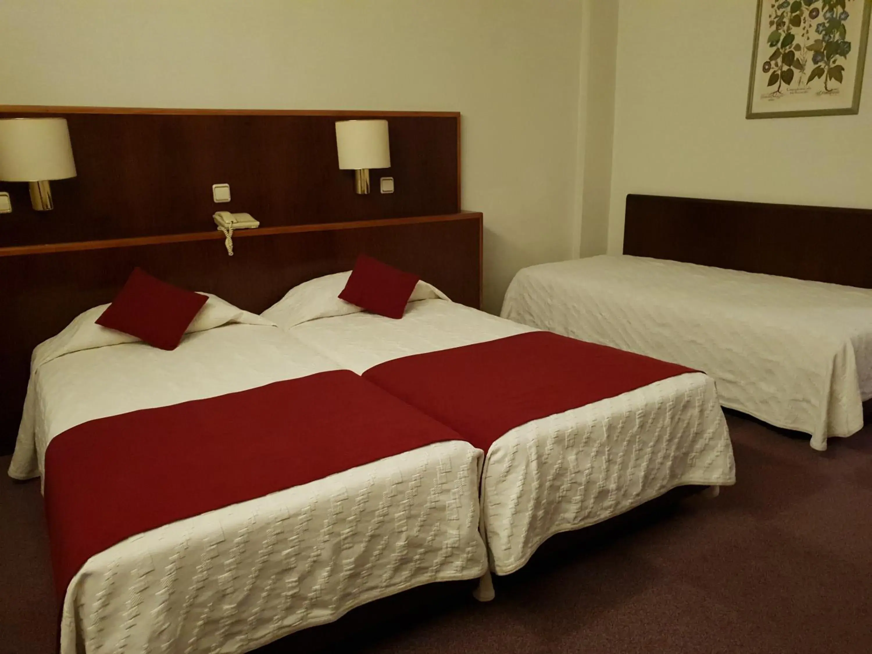 Triple Room in Luso Brasileiro Triple Room in Luso Brasileiro