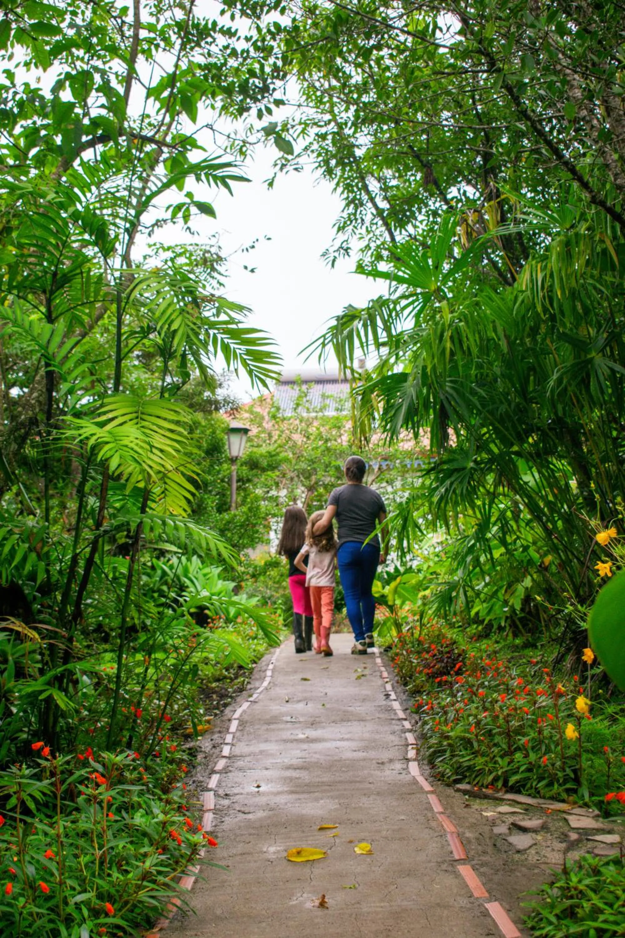 Garden in Hotel Claro de Luna