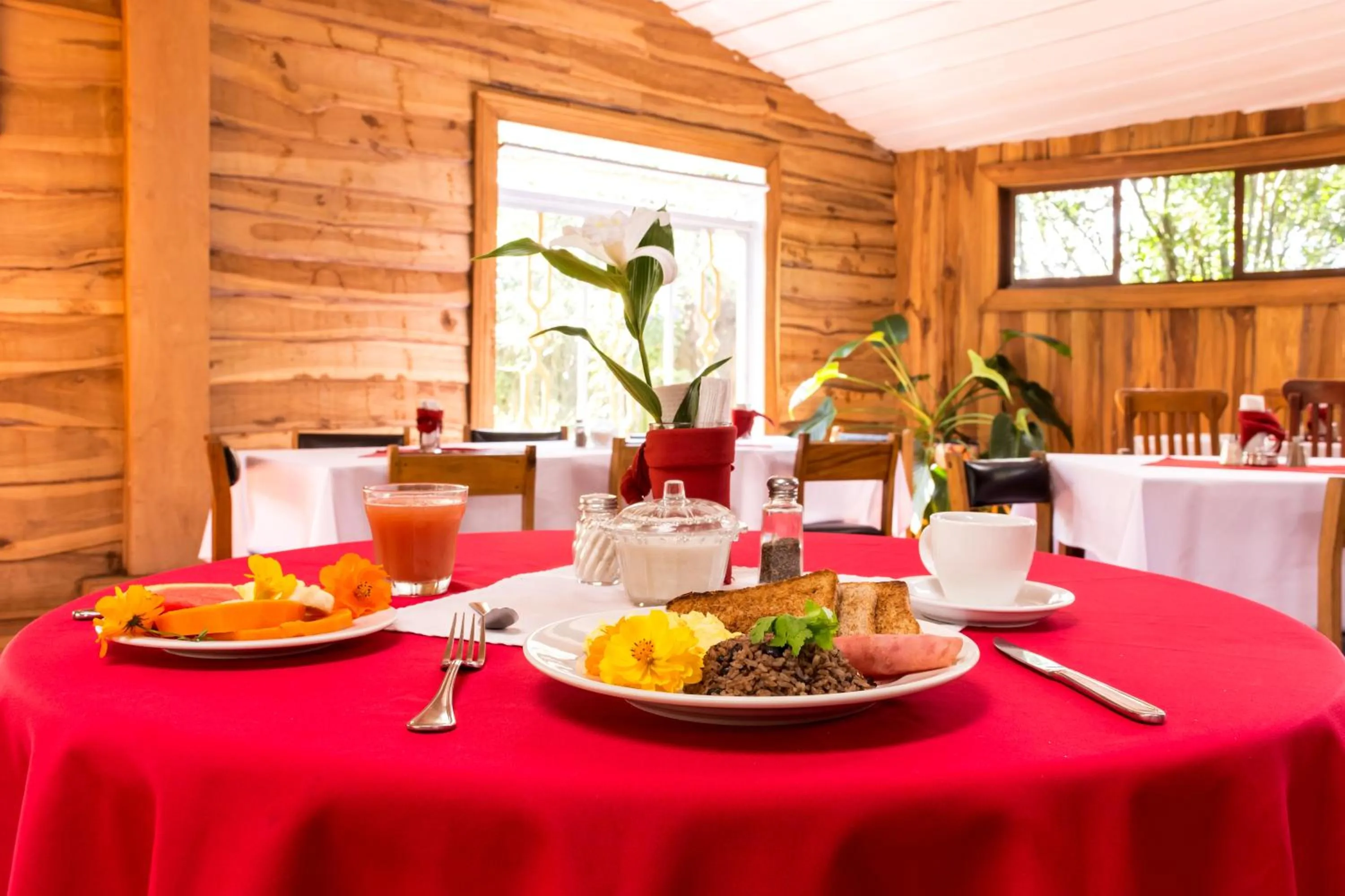 Food and drinks in Hotel Claro de Luna