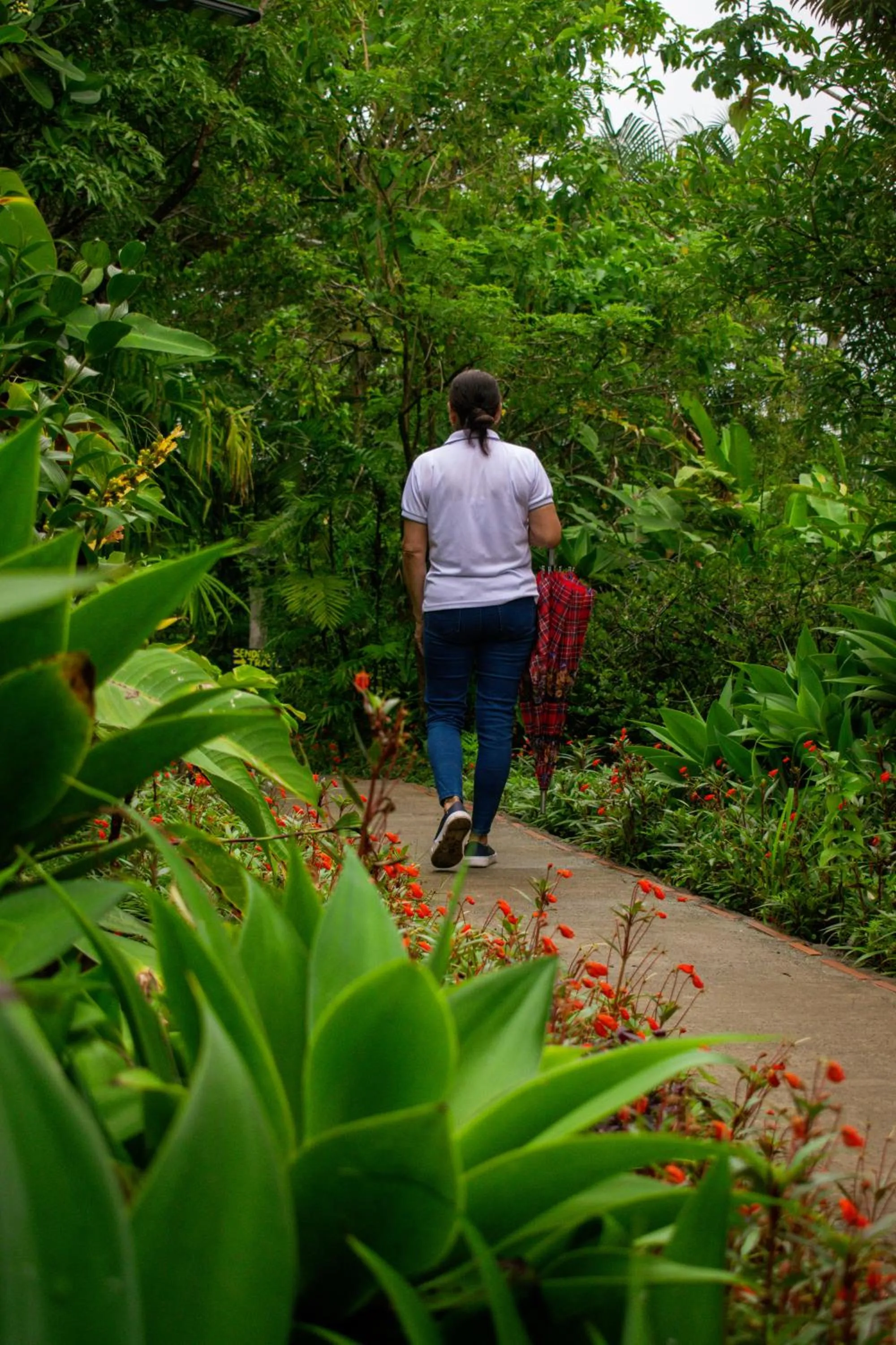 Garden in Hotel Claro de Luna