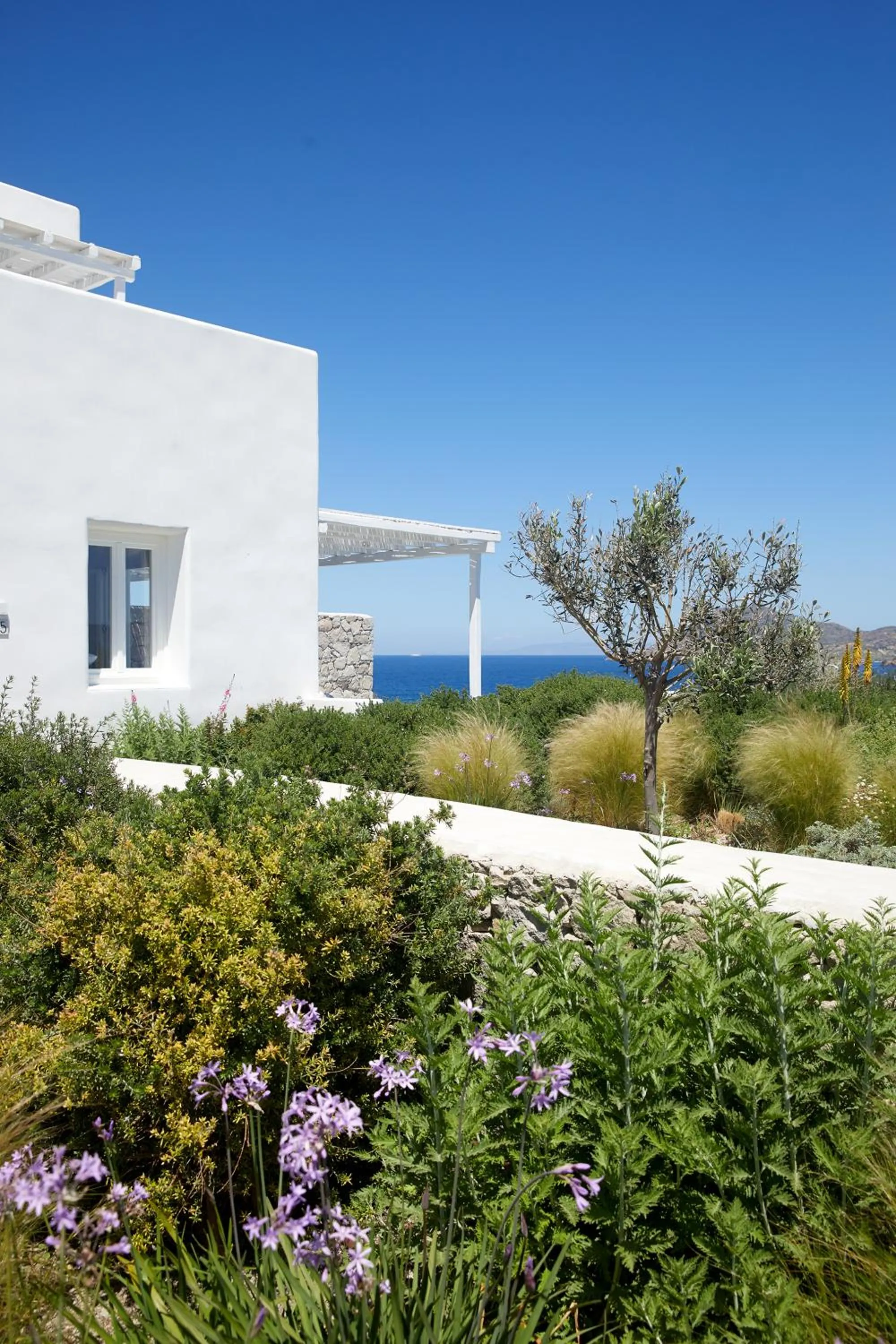 Garden in Milos Breeze Boutique Hotel