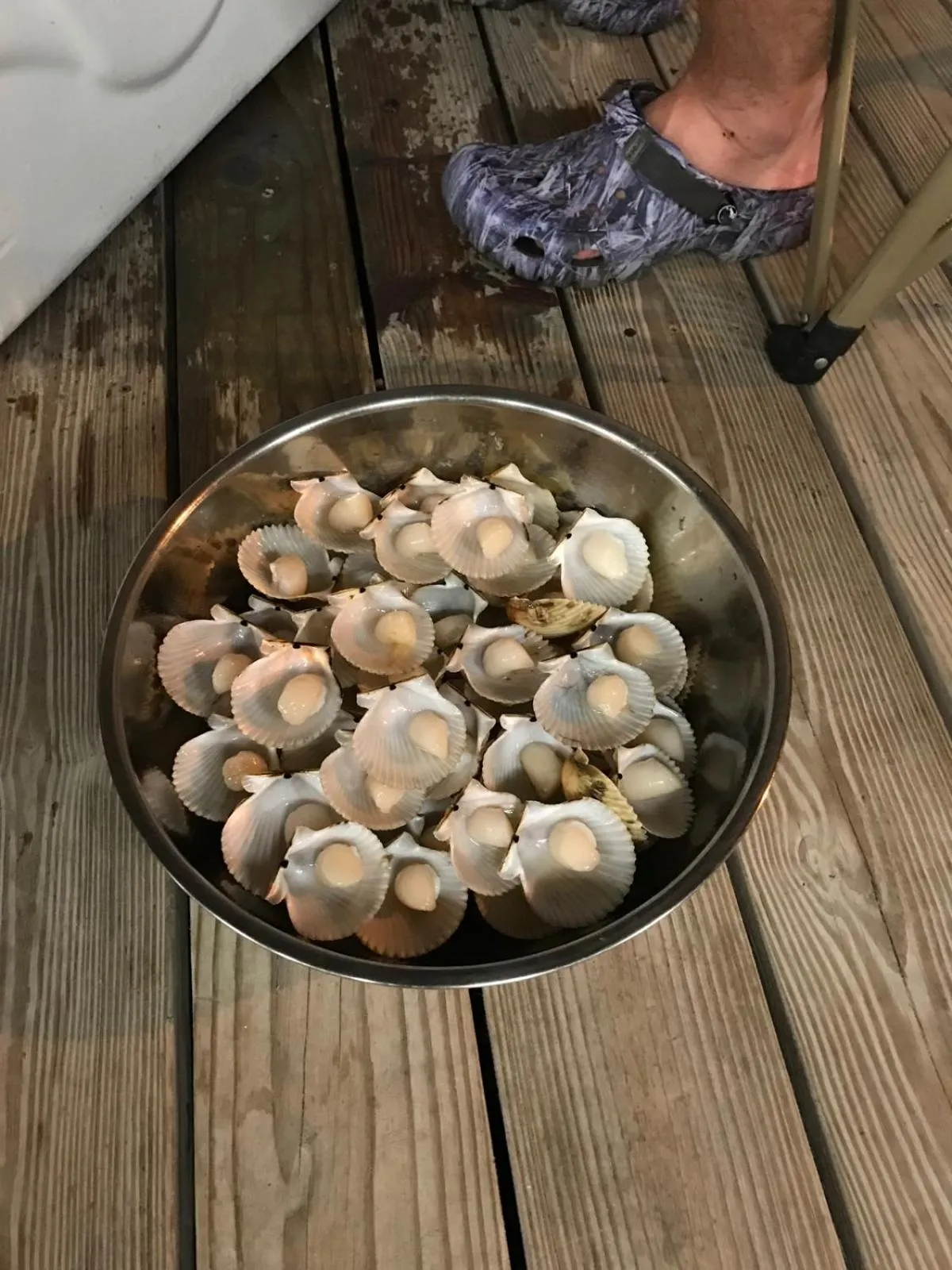 Fishing in Steinhatchee River Inn and Marina