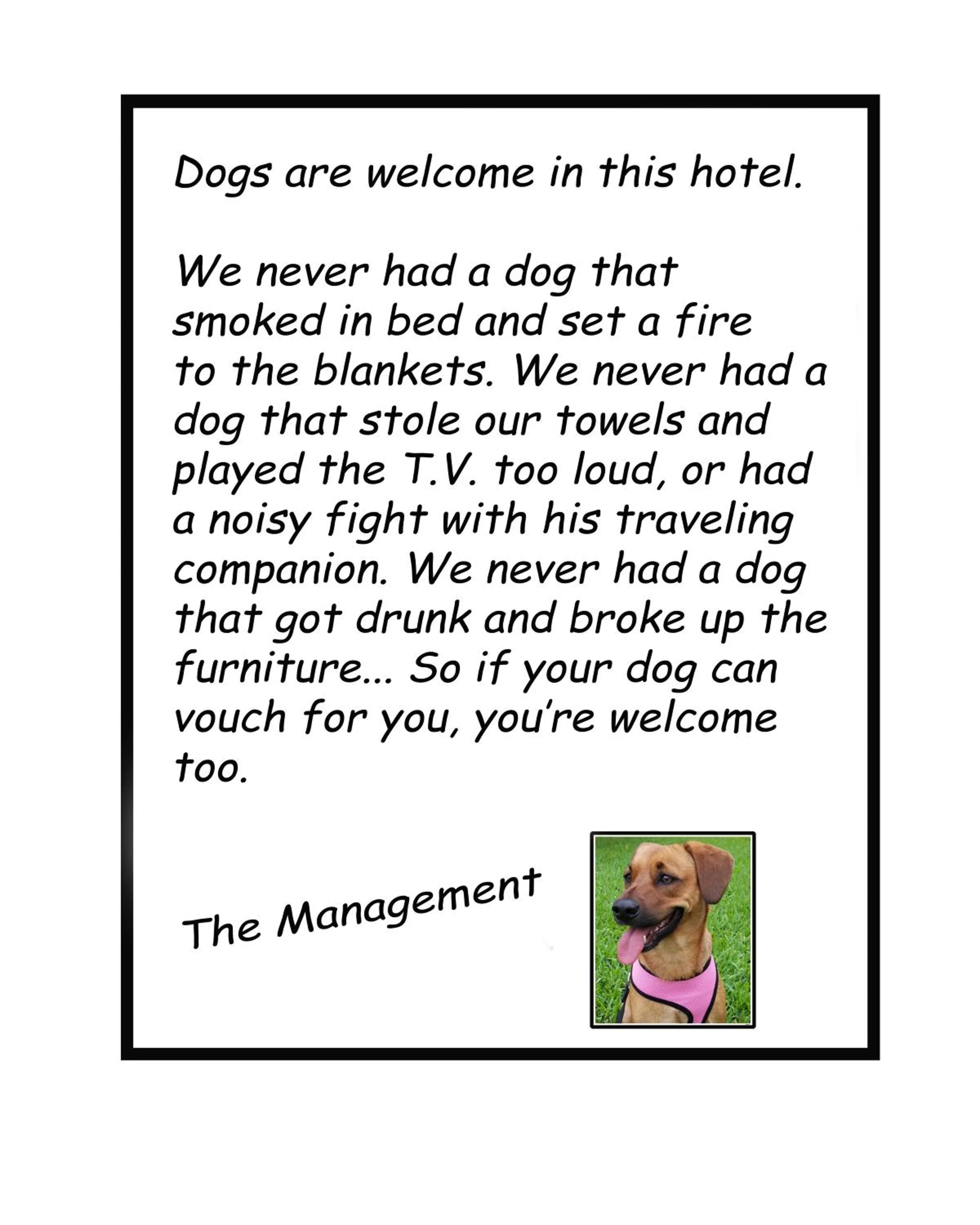 Pets in Steinhatchee River Inn and Marina