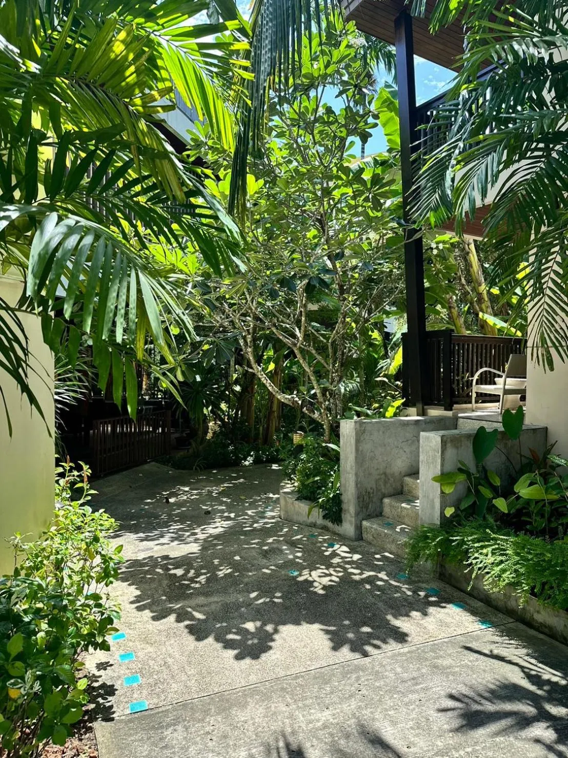 HULA HULA RESORT l truly tropical and fun wellness