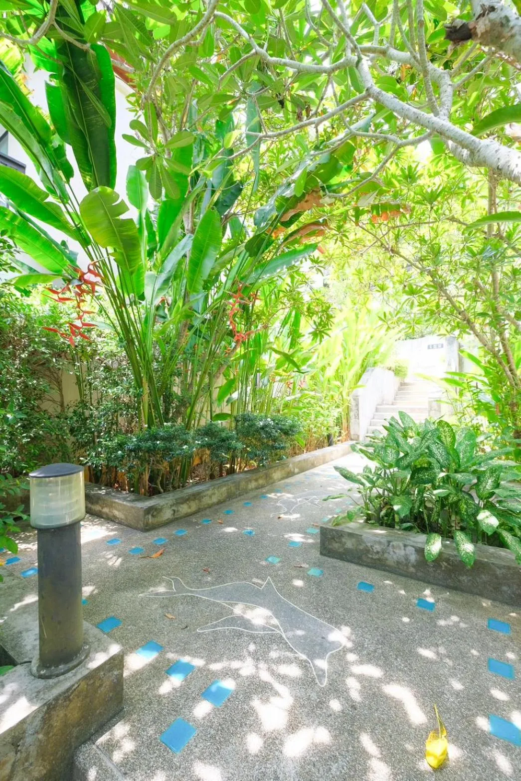 HULA HULA RESORT l truly tropical and fun wellness