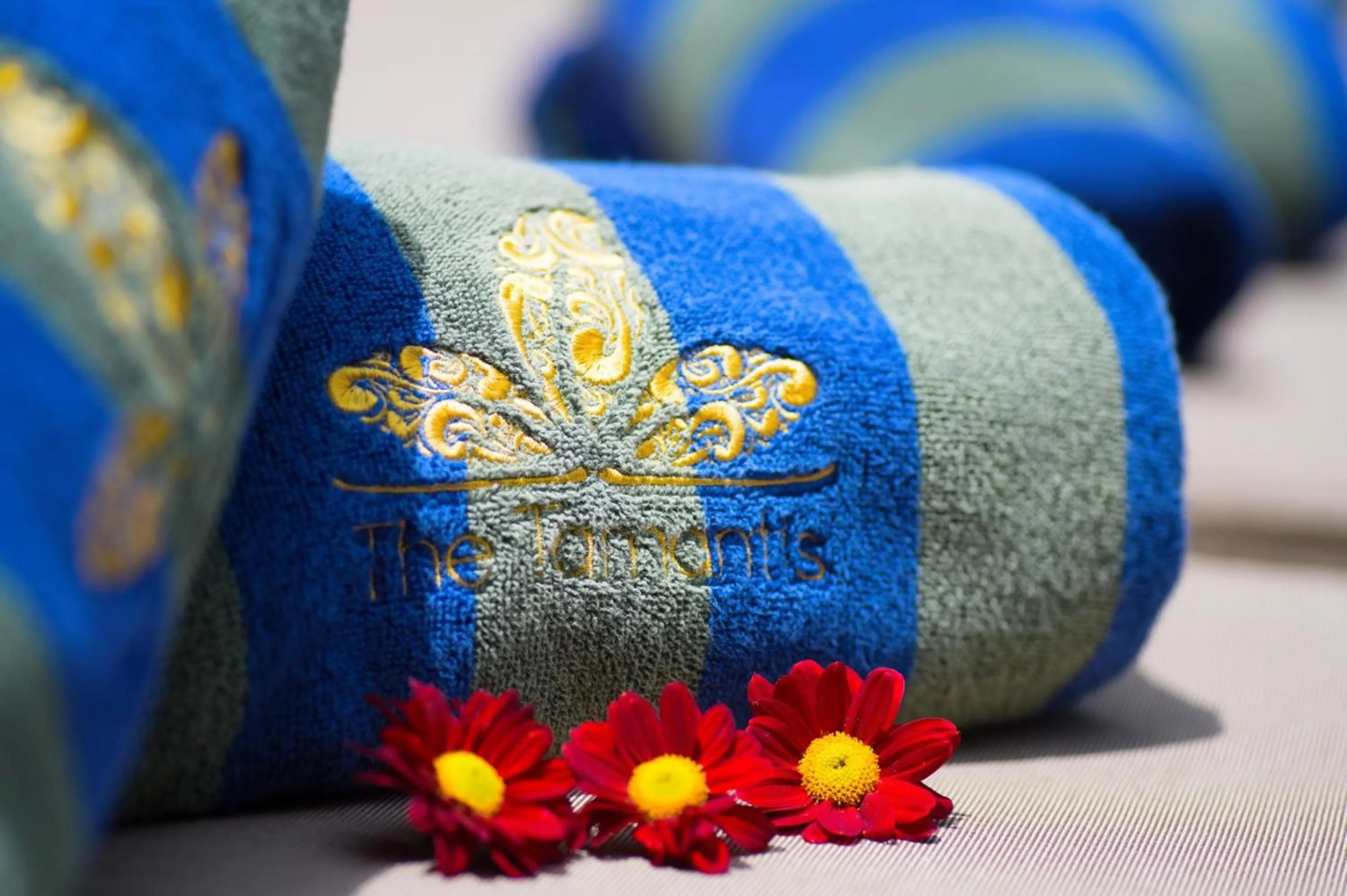 Decorative detail in The Tamantis Villa