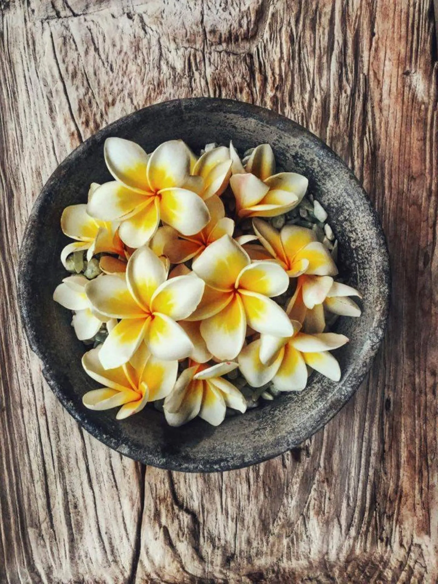 Decorative detail in The Tamantis Villa