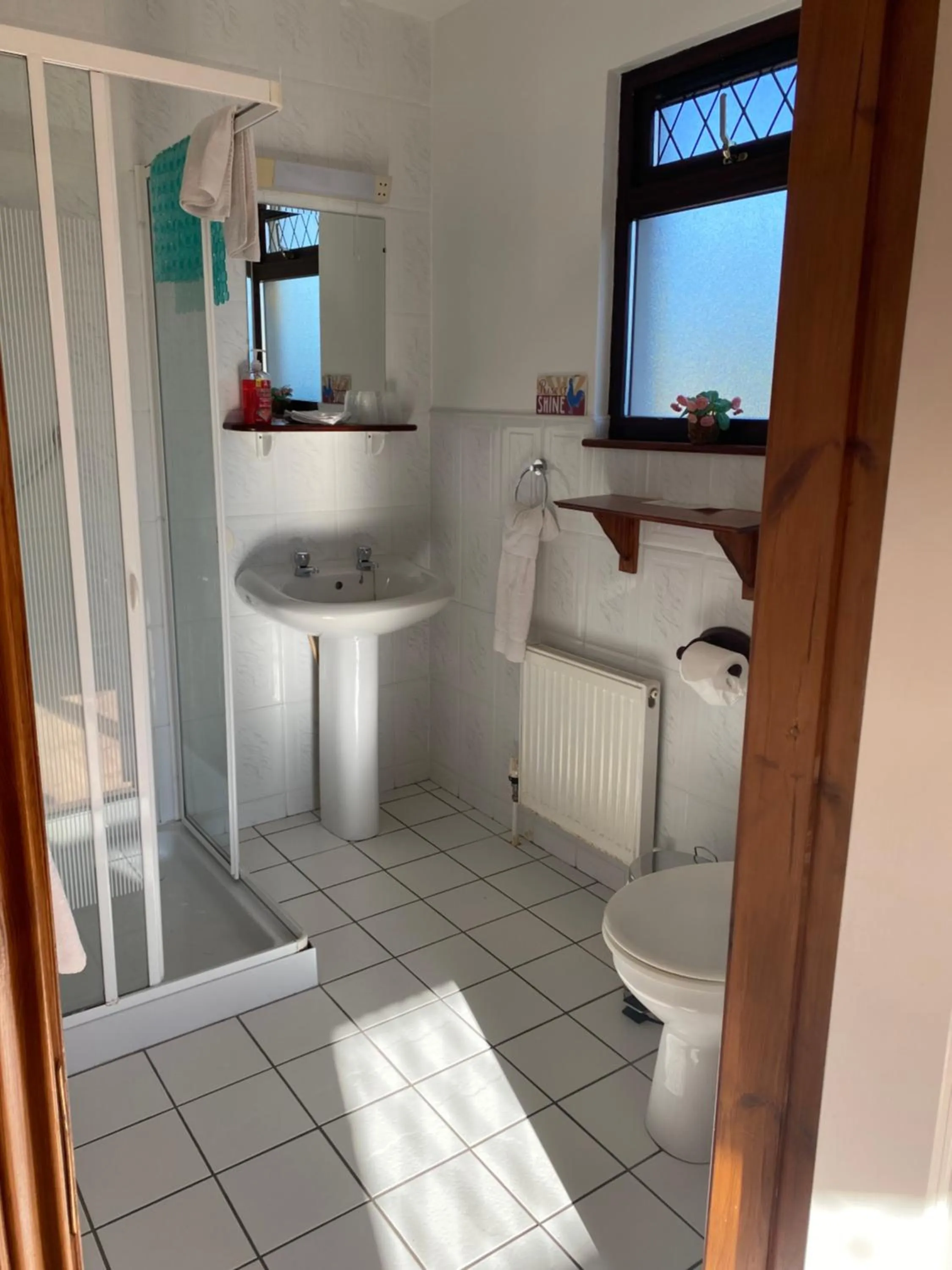 Shower in Davmar House Blarney