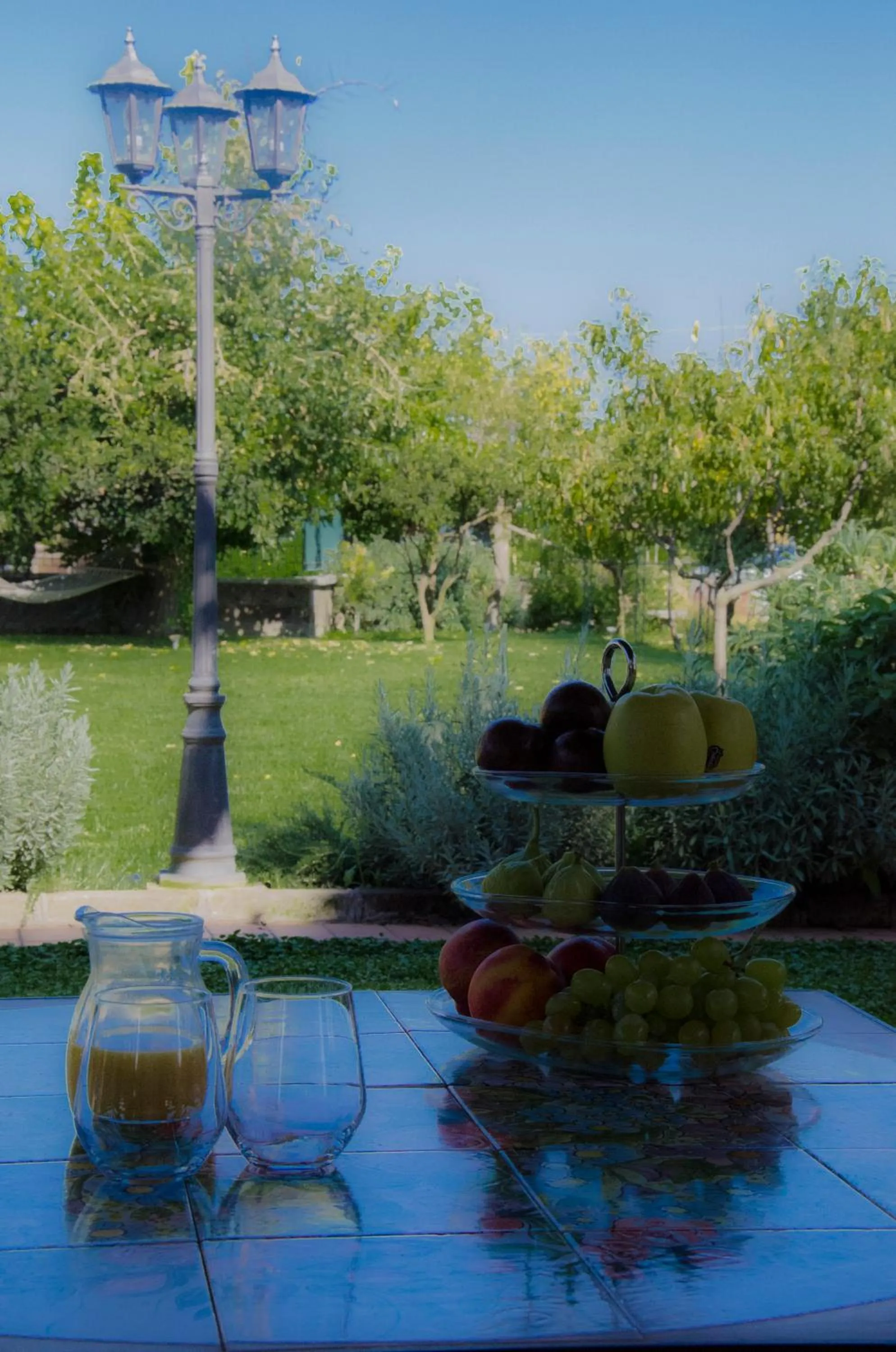 Garden in Villa Charme