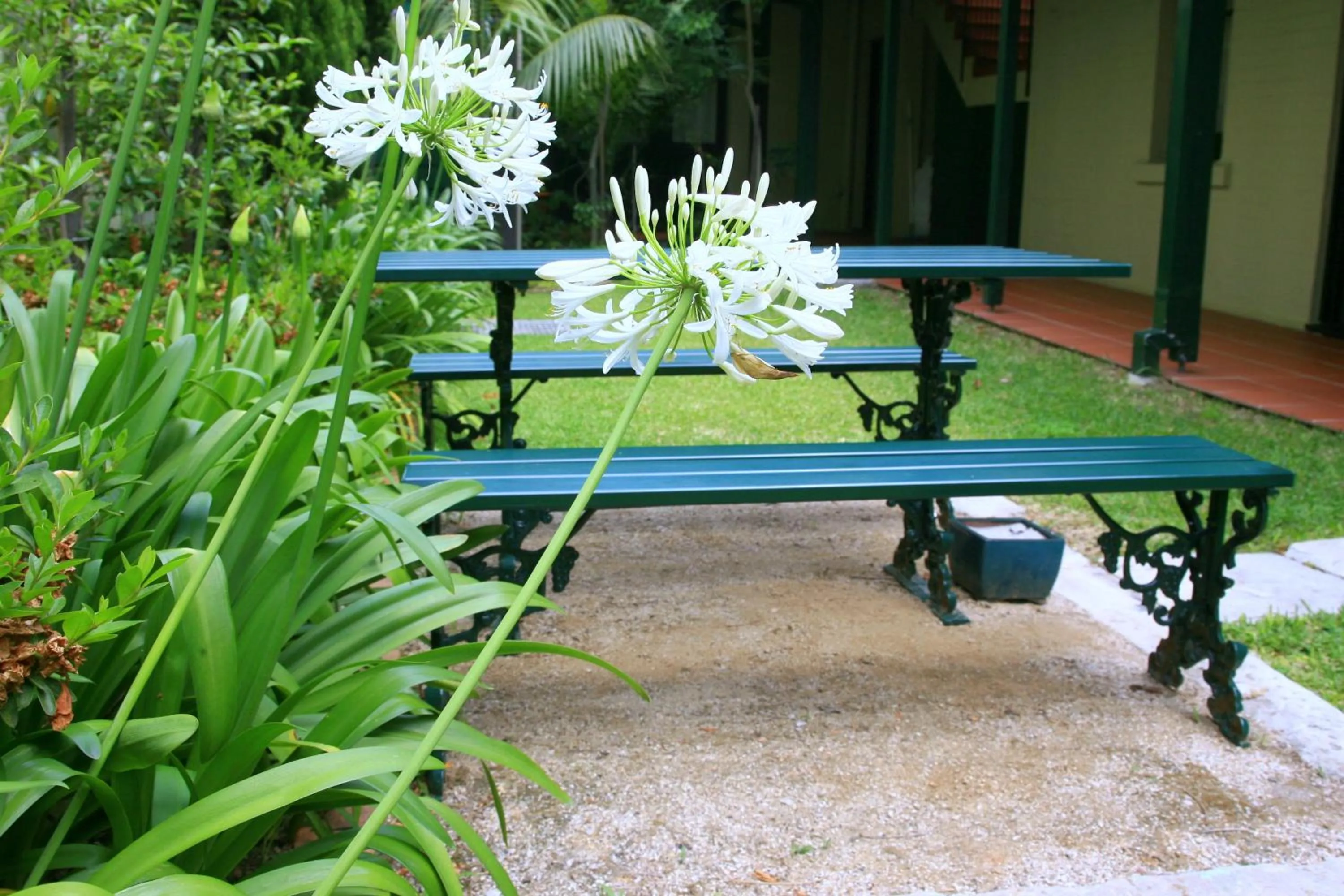 Patio in Avonmore On The Park Boutique Hotel