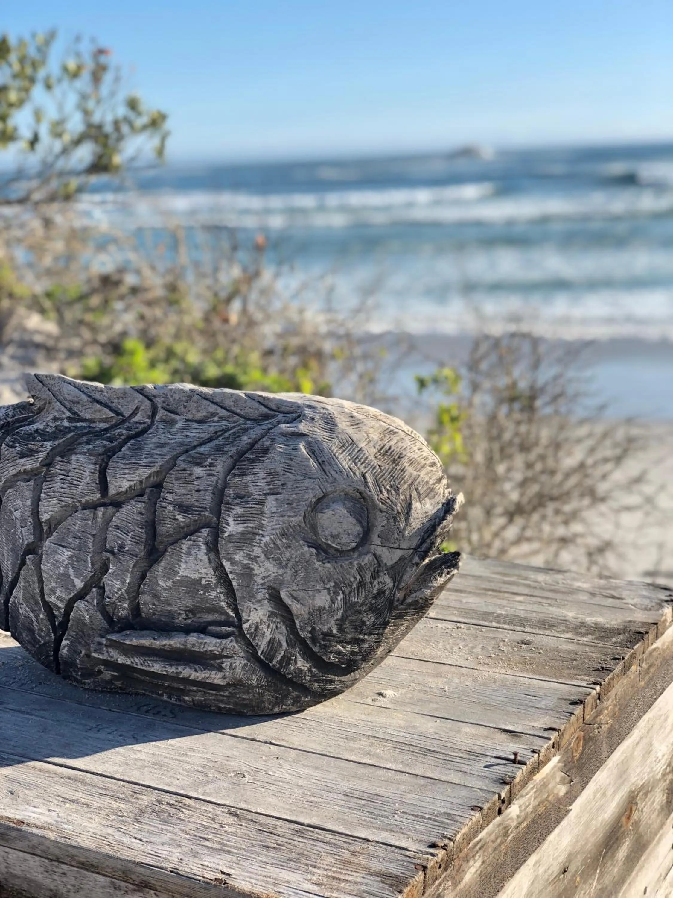 Natural landscape in Rooisee