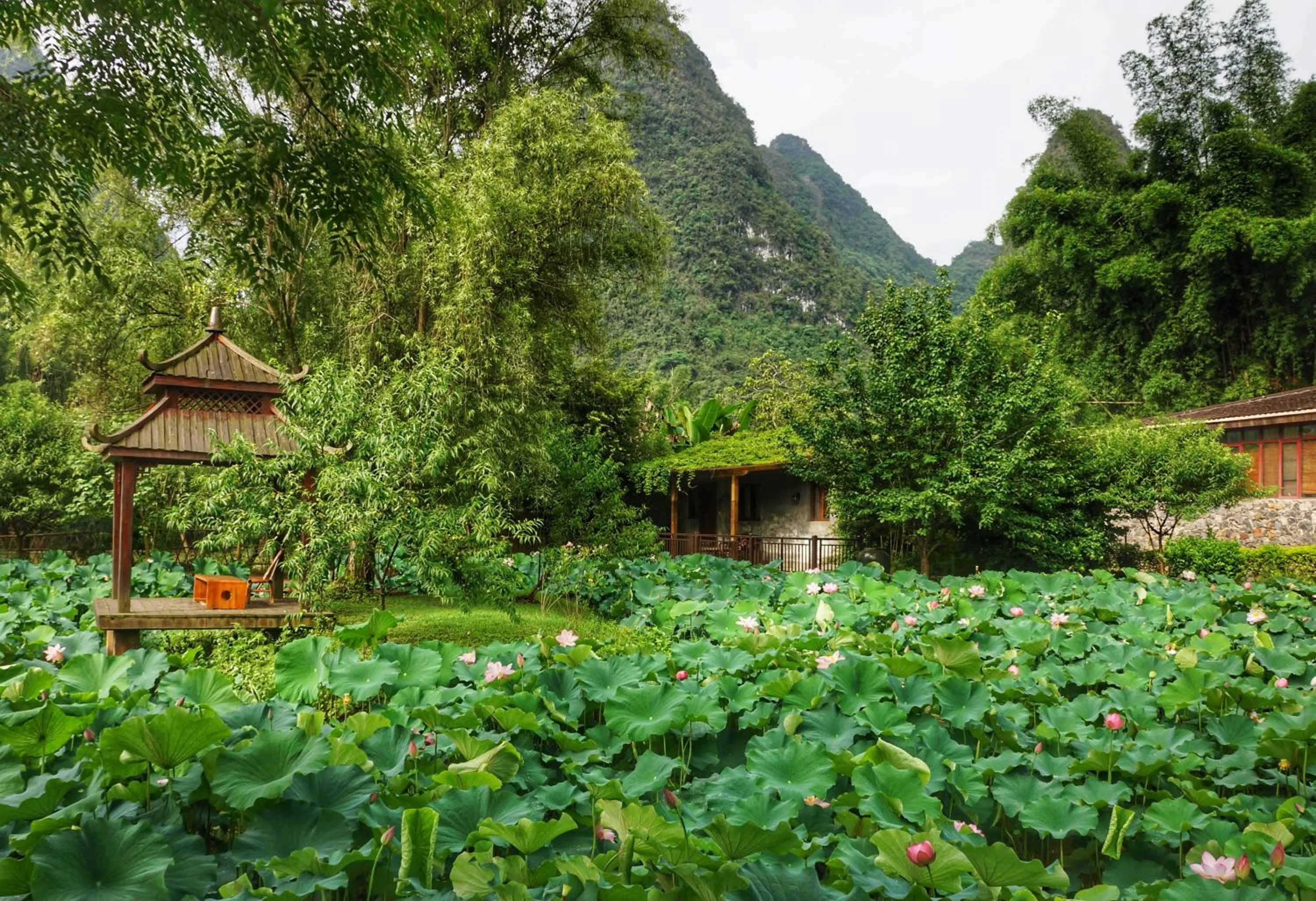 Property building in The Apsara Lodge