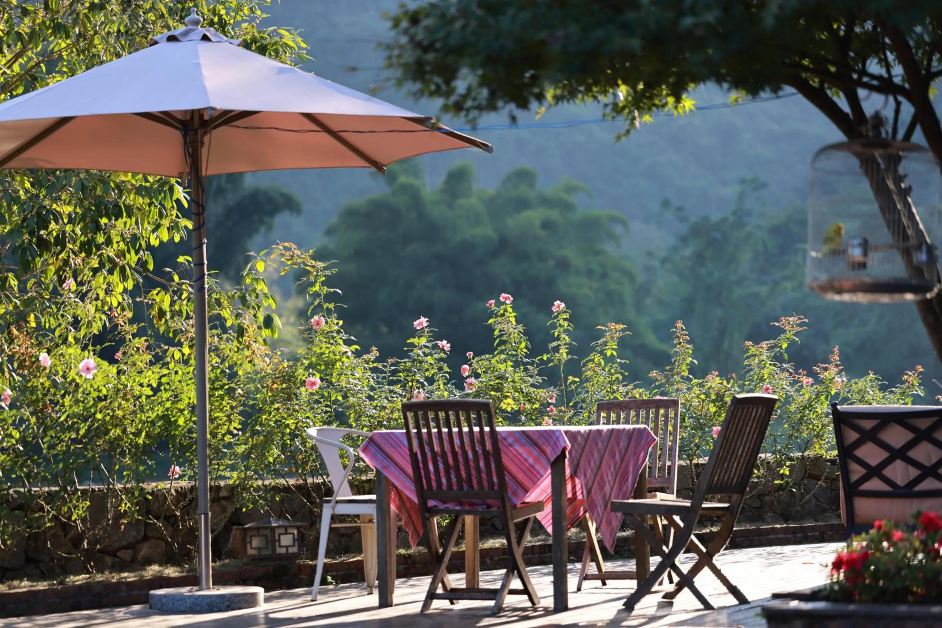 Spring in The Apsara Lodge