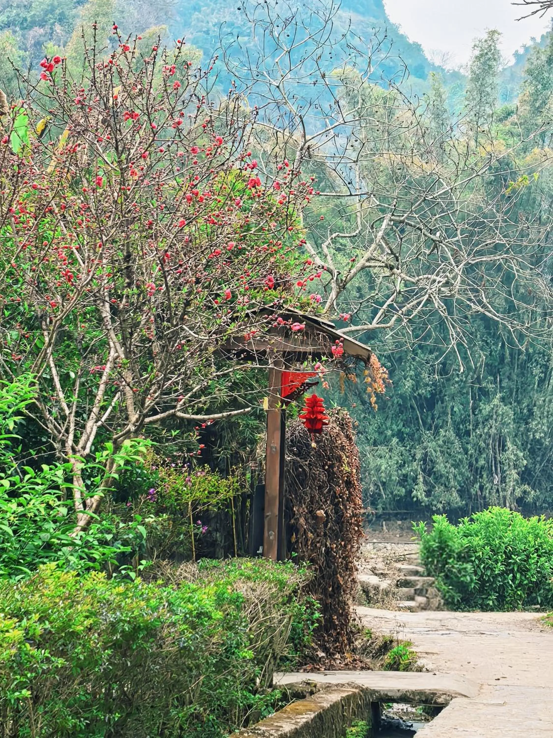 Other in The Apsara Lodge