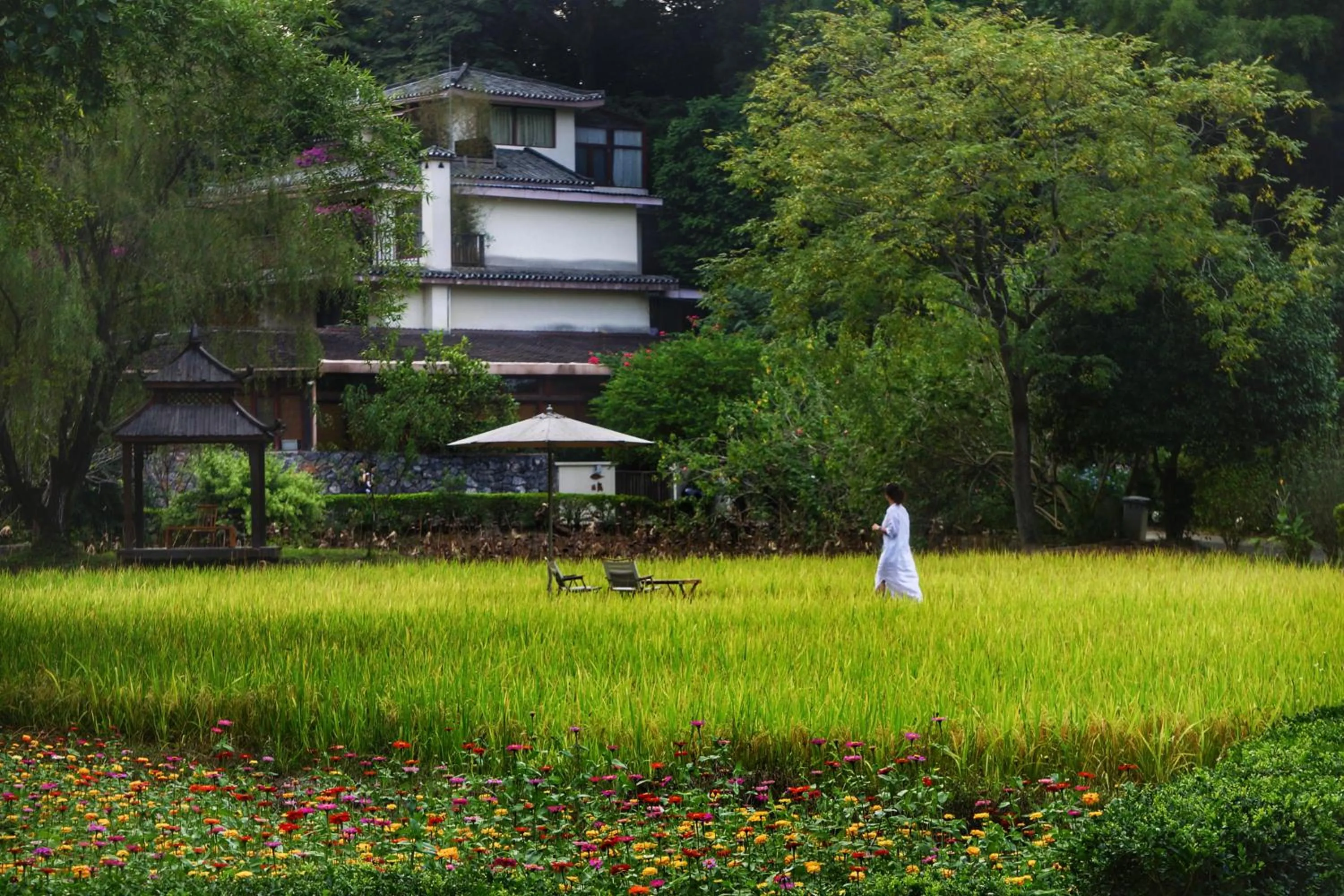 Property building in The Apsara Lodge