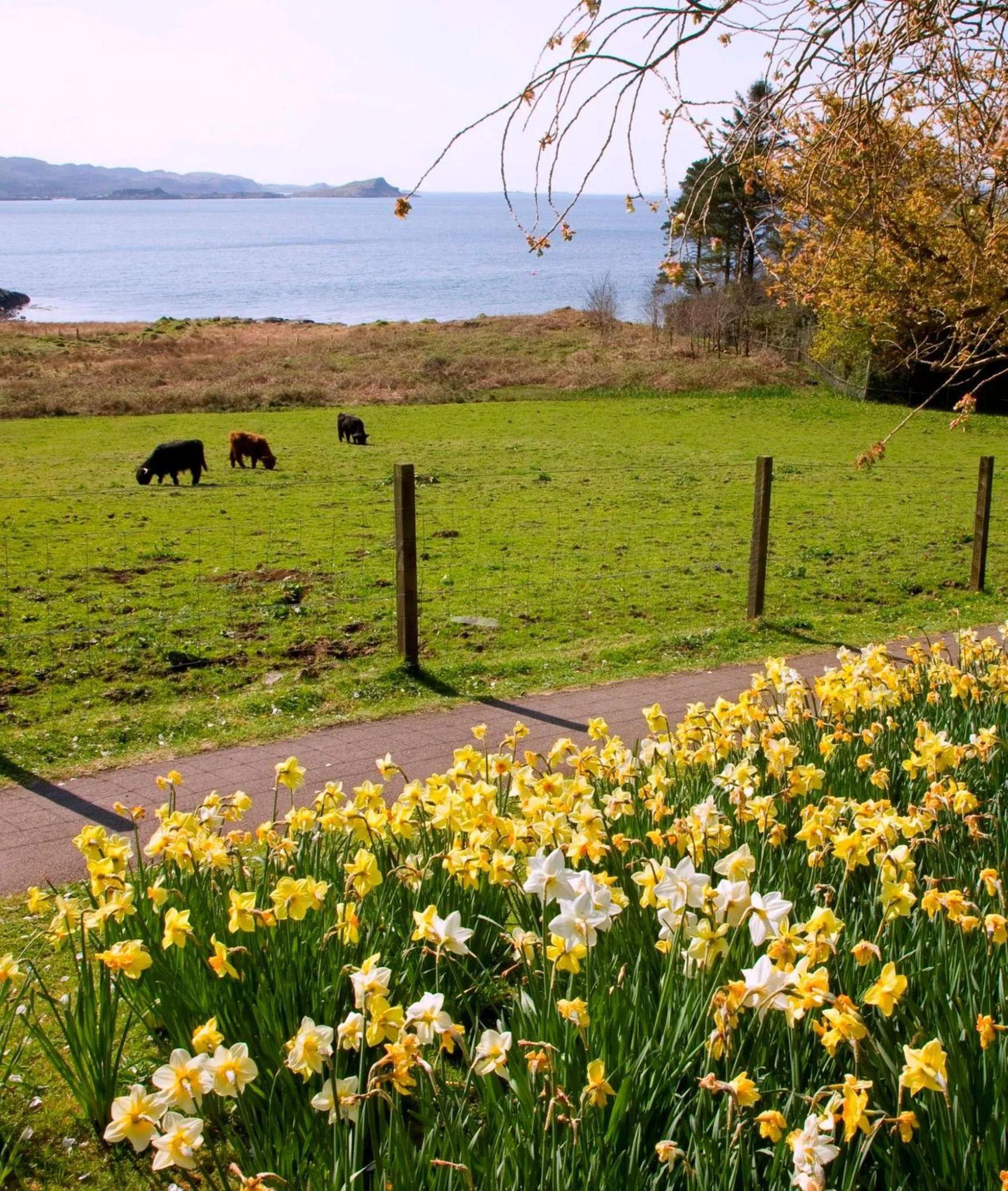 Natural landscape in Loch Melfort Hotel
