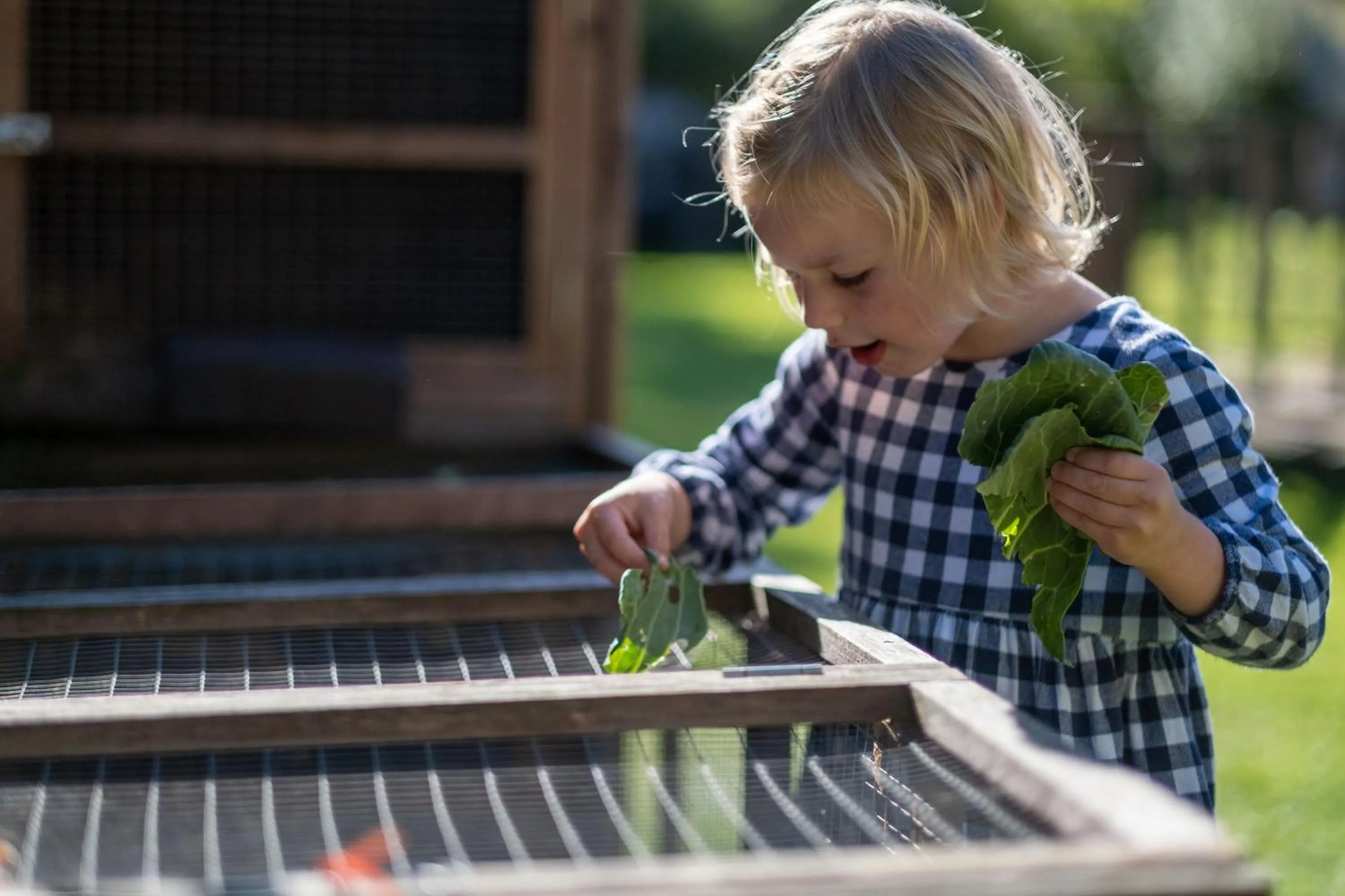 Pets in Woolley Grange Hotel