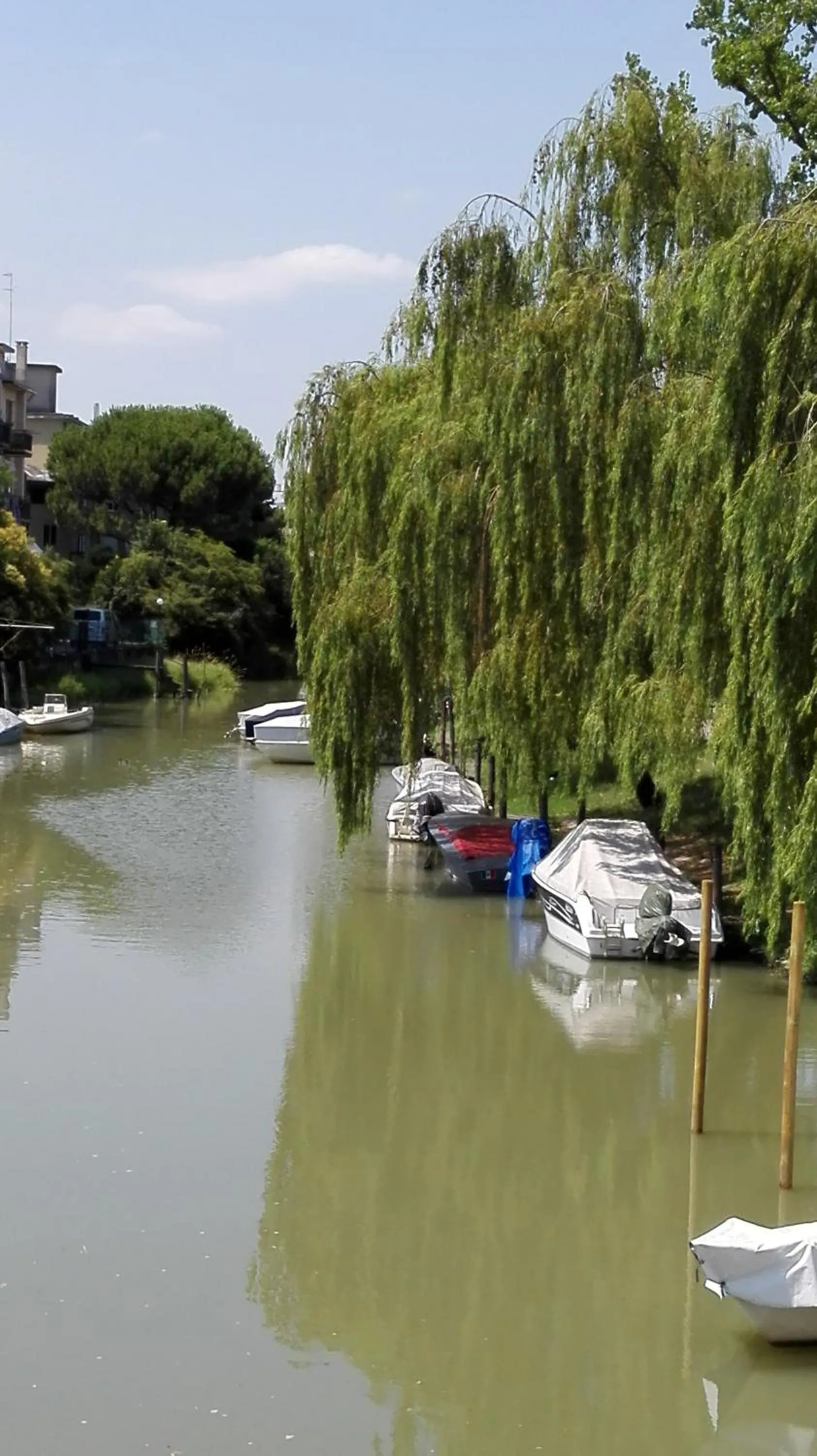 Natural landscape in Ever Green