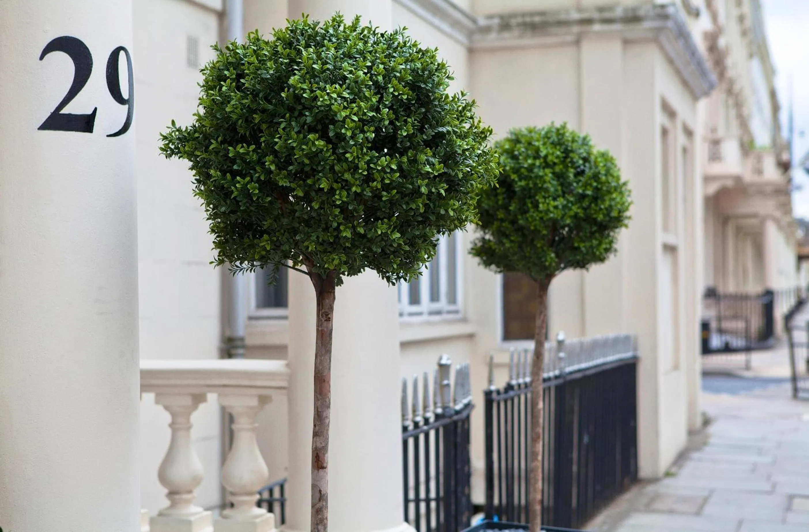 Facade/entrance in The 29 London