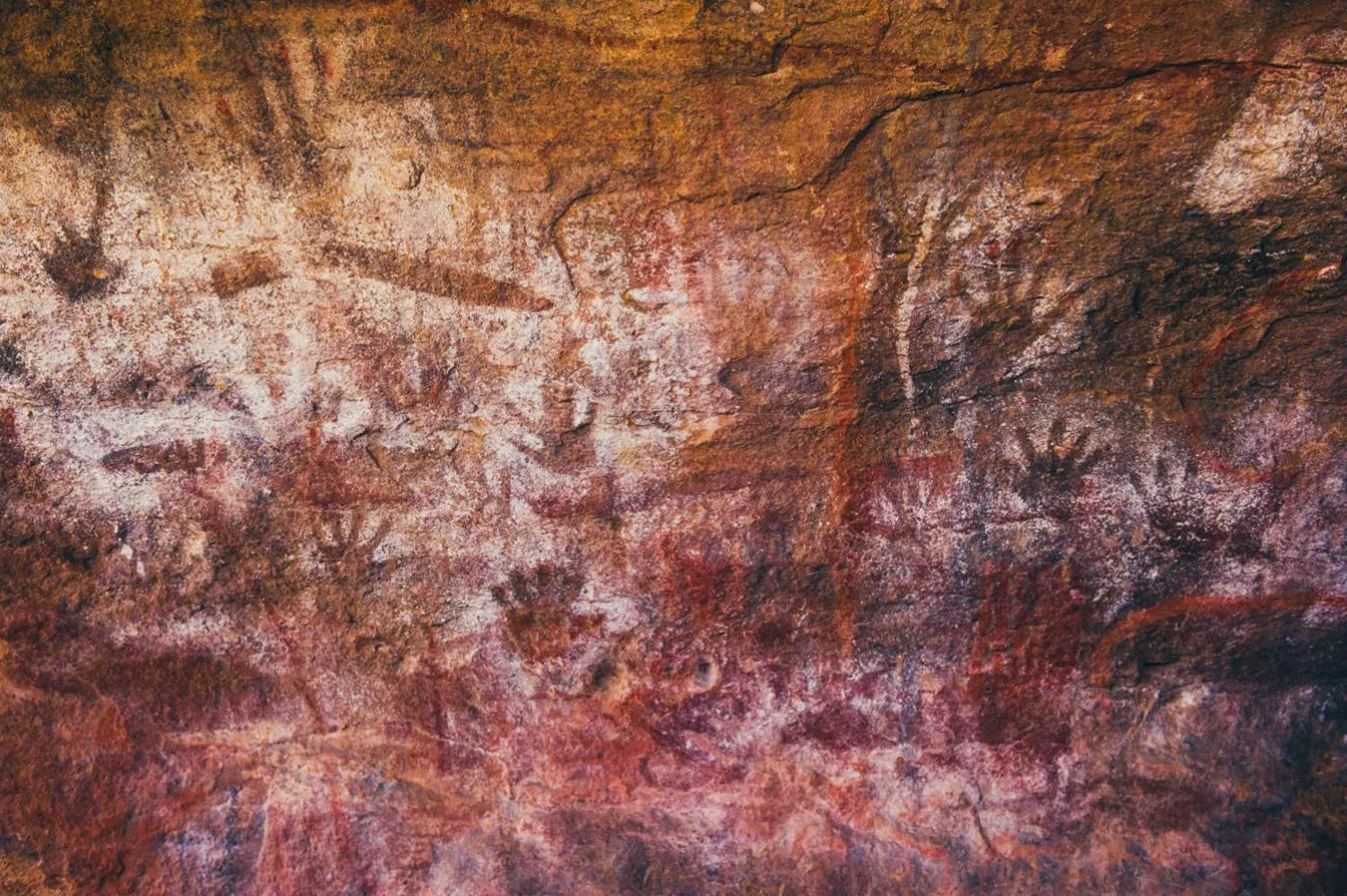 Nearby landmark in Horrocks Beach Caravan Park