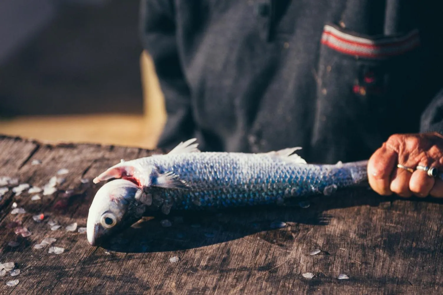 Fishing in Horrocks Beach Caravan Park