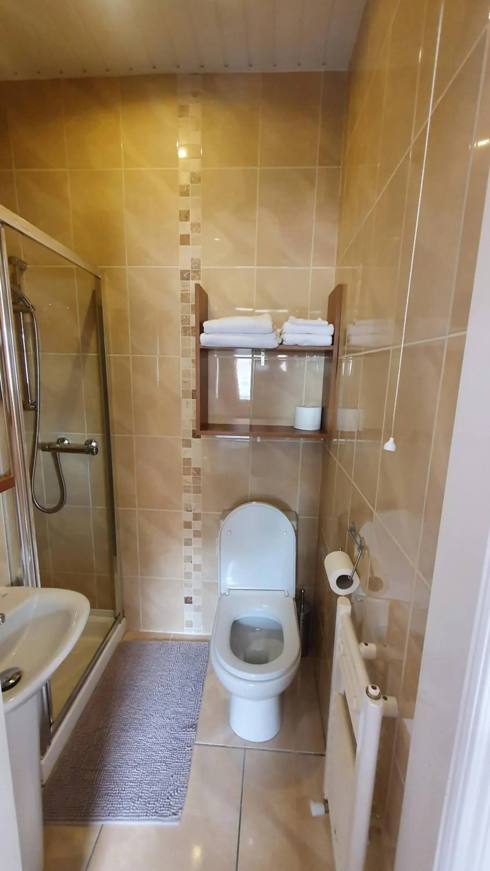 Toilet in Rose Park House