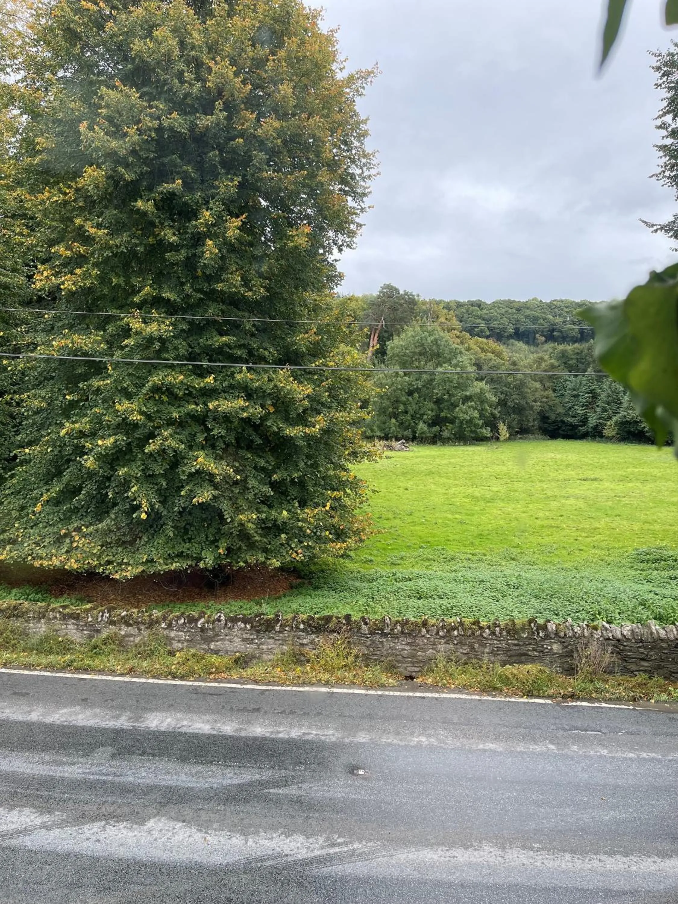 View (from property/room) in Riverside Inn, Aymestrey