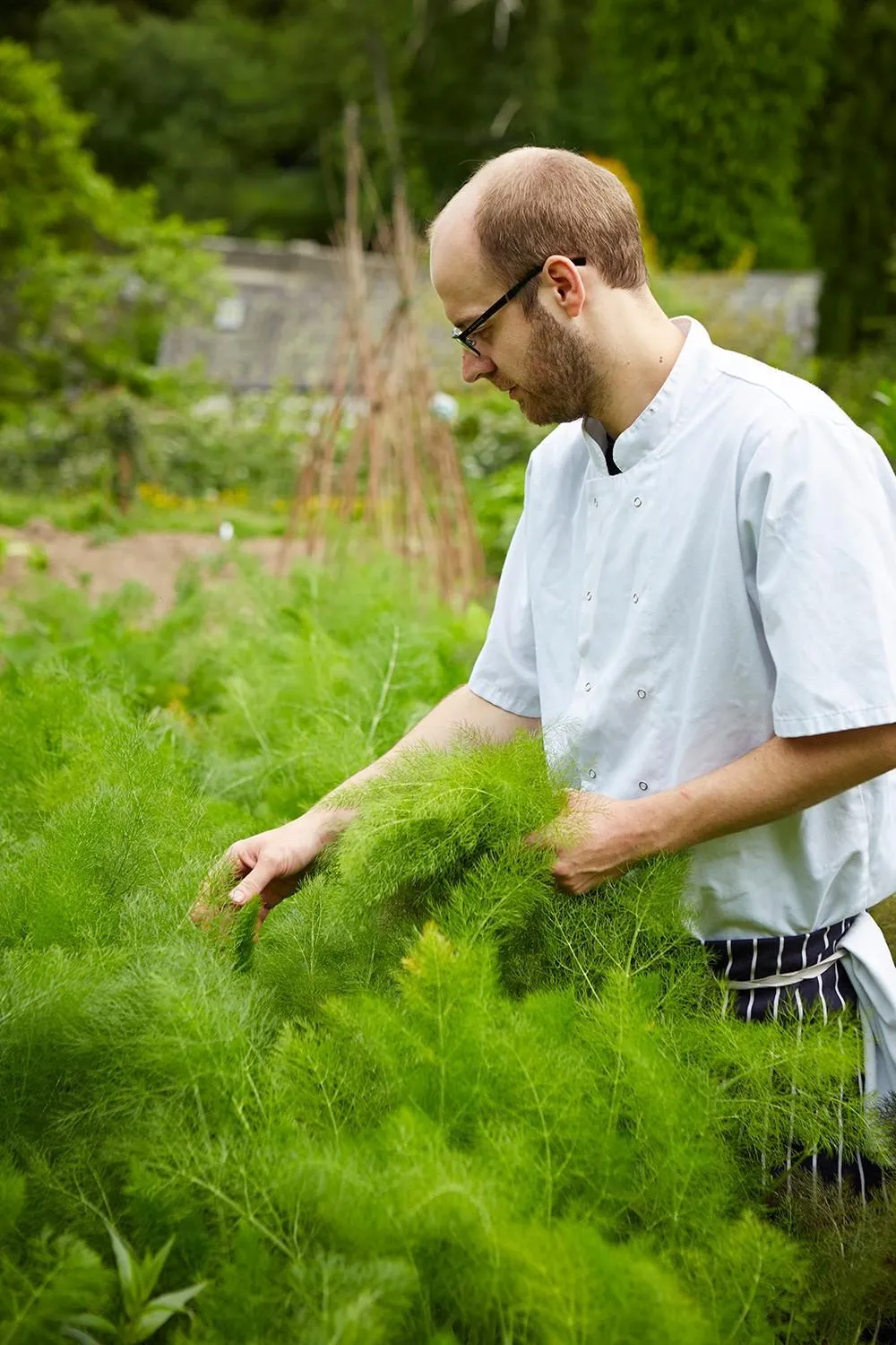 Garden in Riverside Inn, Aymestrey