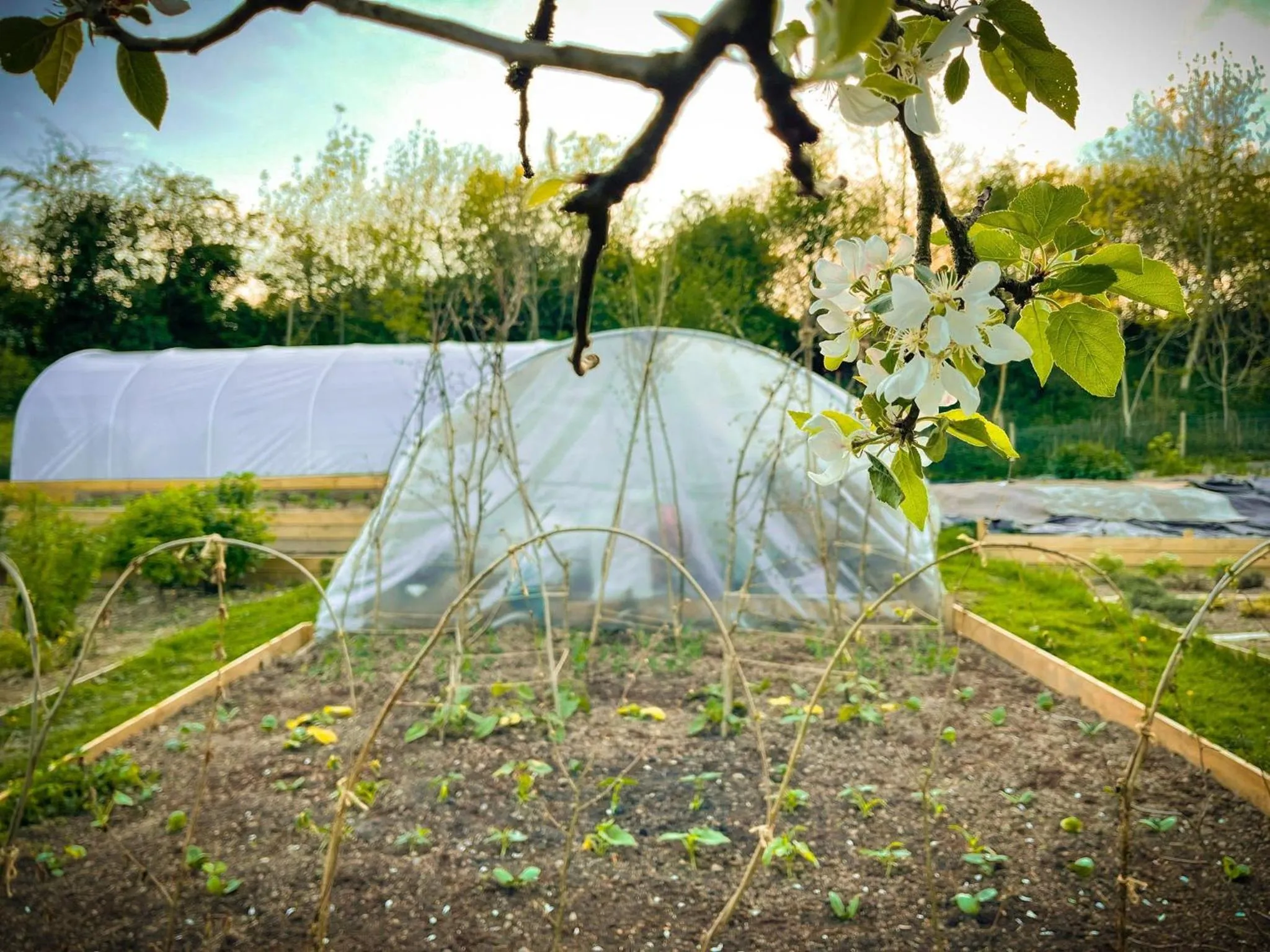 Garden in Riverside Inn, Aymestrey