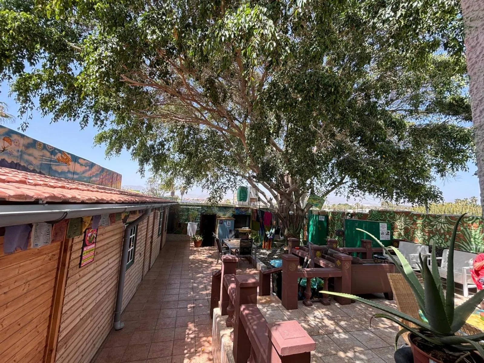 Garden in Hostel Los Duendes del Sur