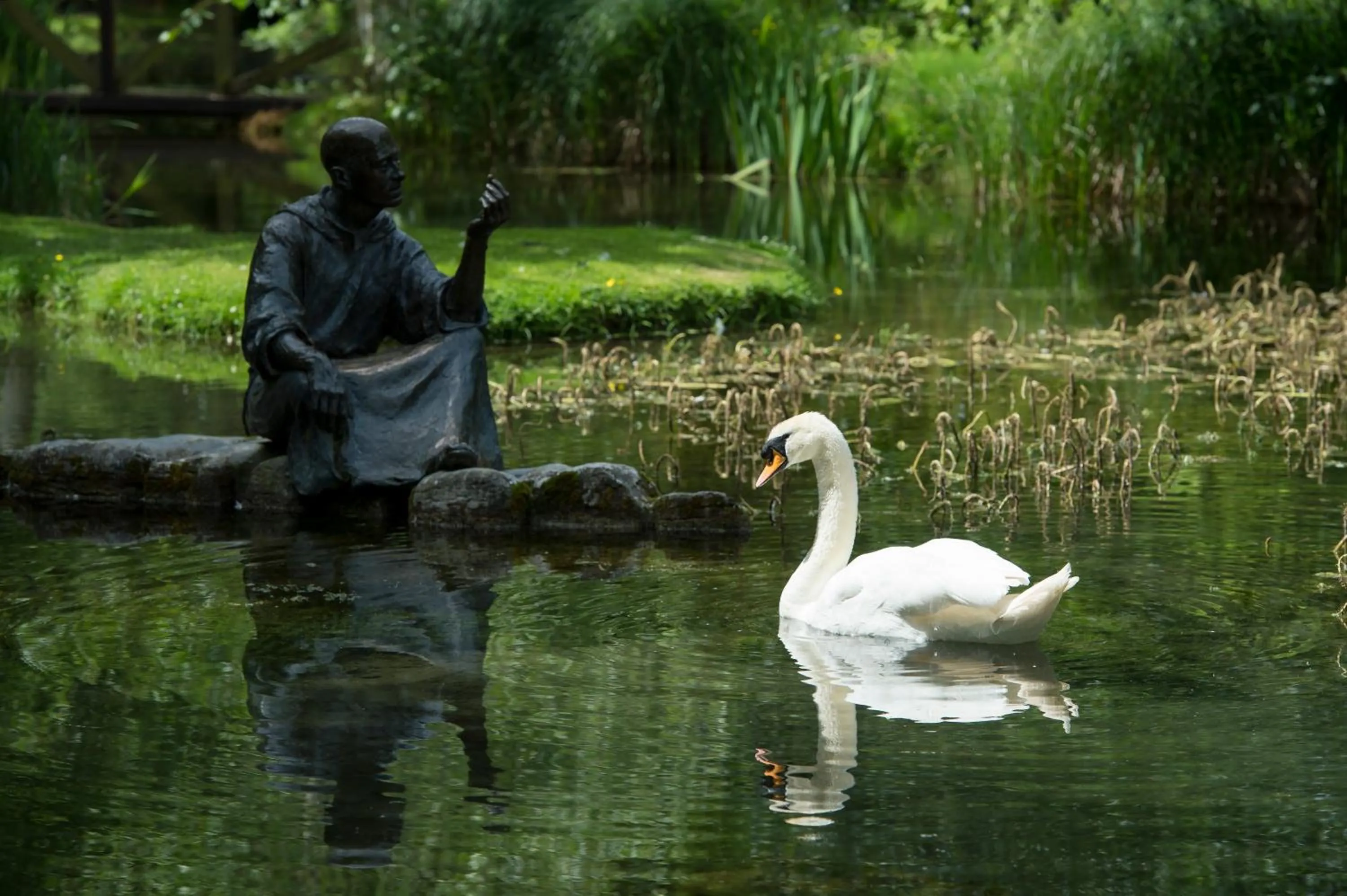 Nearby landmark in Silken Thomas Accommodation