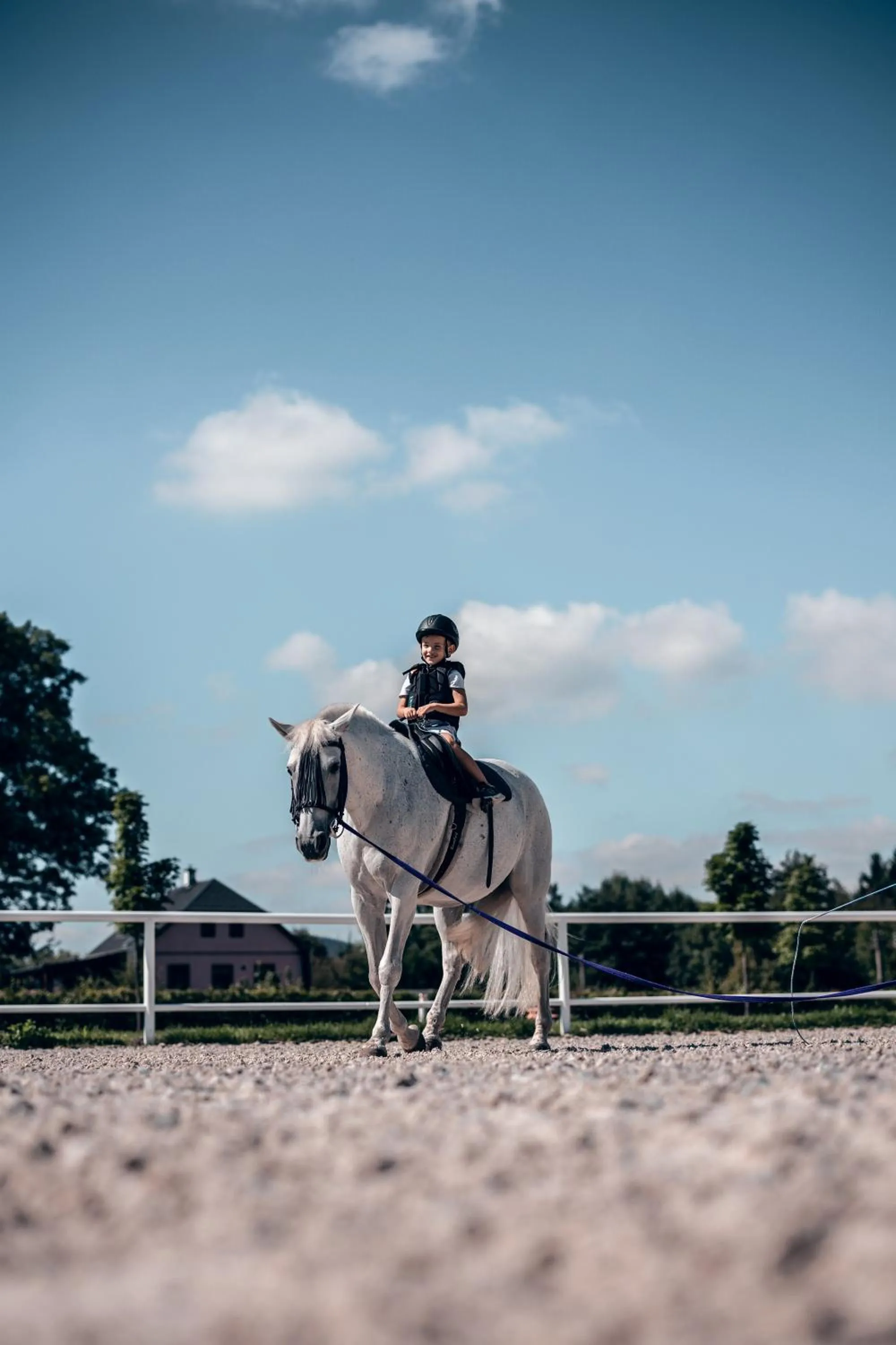 Horse-riding in Penzion Pivnice - Jítravský Dvorec