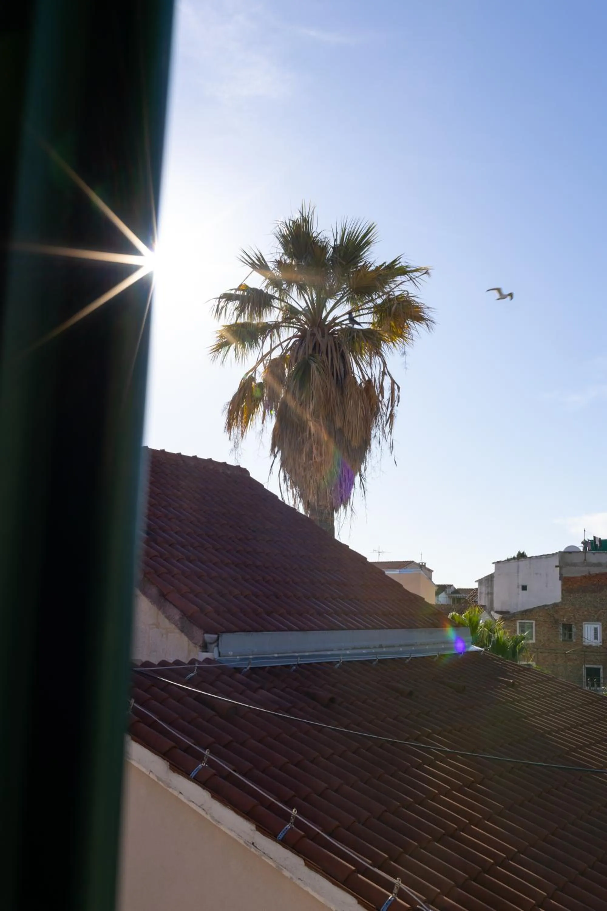 Day in Apartments Korta