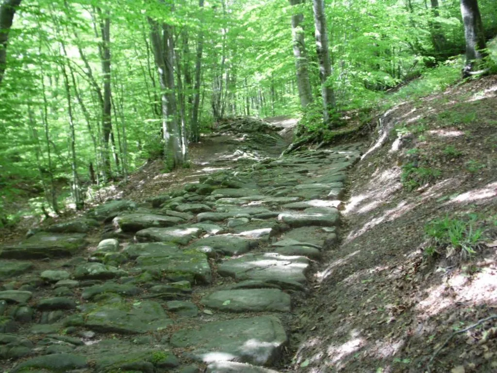 Nearby landmark in B&B Mappamundi