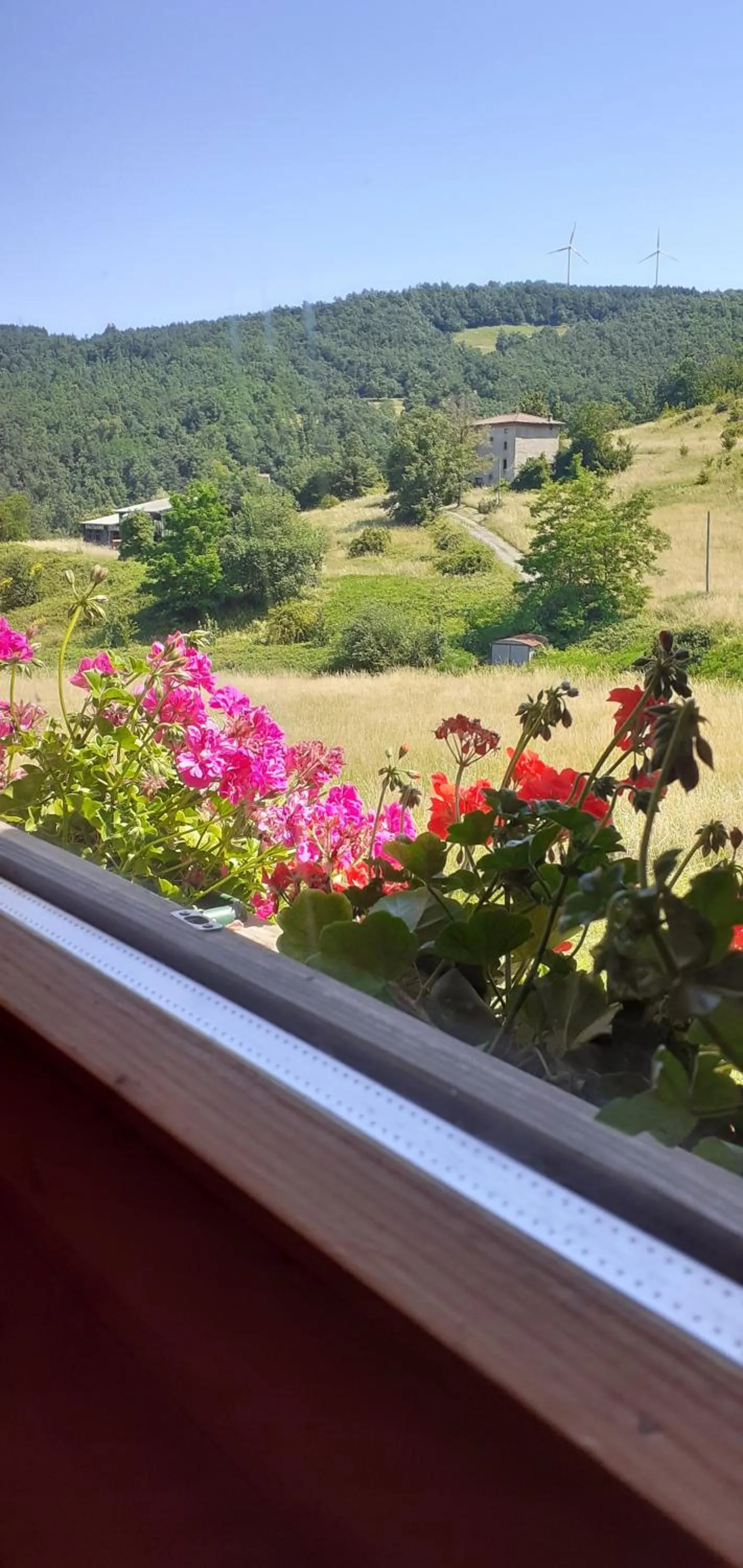 Double Room in B&B Mappamundi