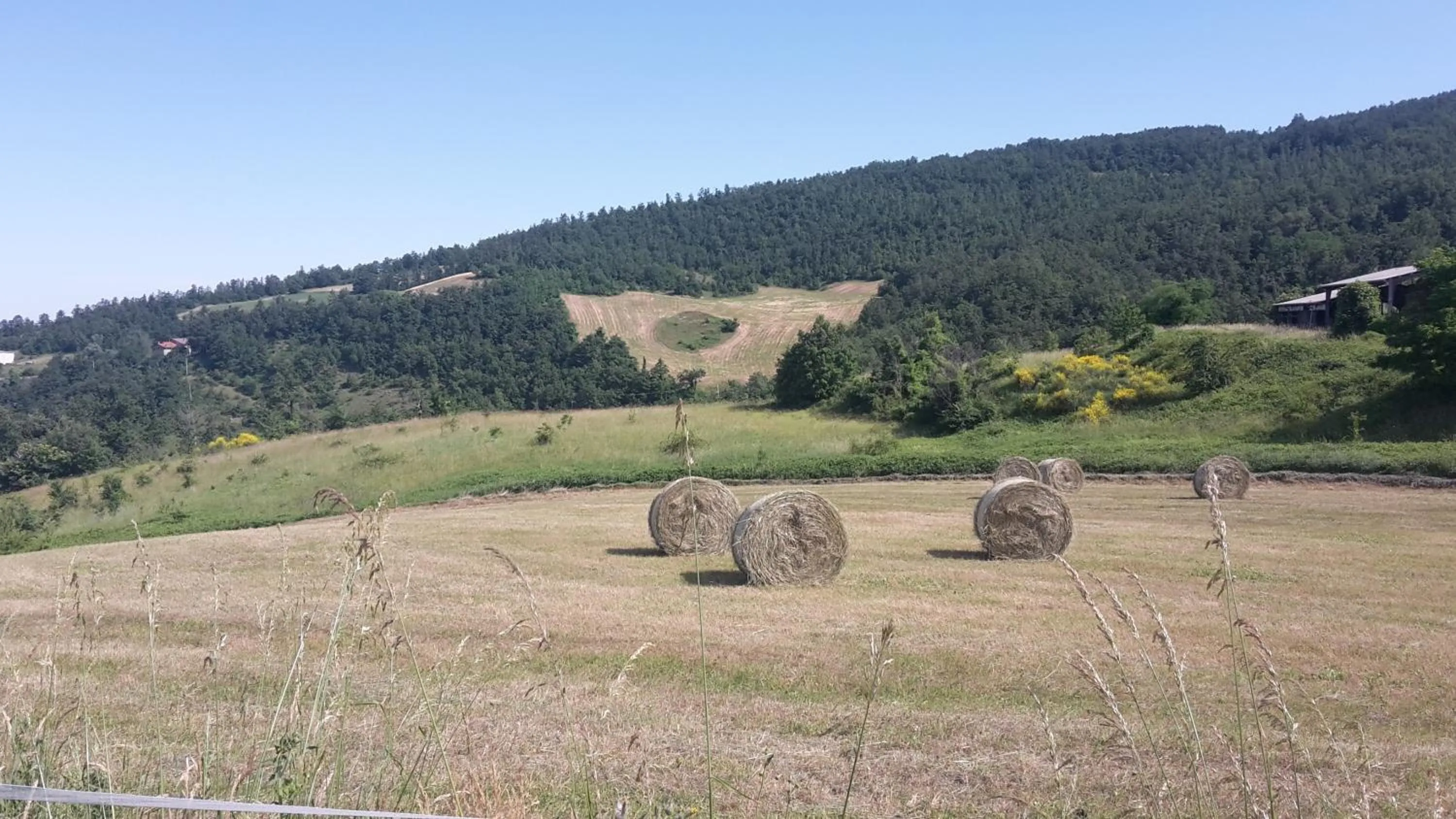 Day in B&B Mappamundi