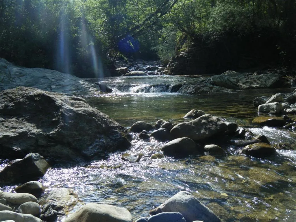 Fishing in B&B Mappamundi