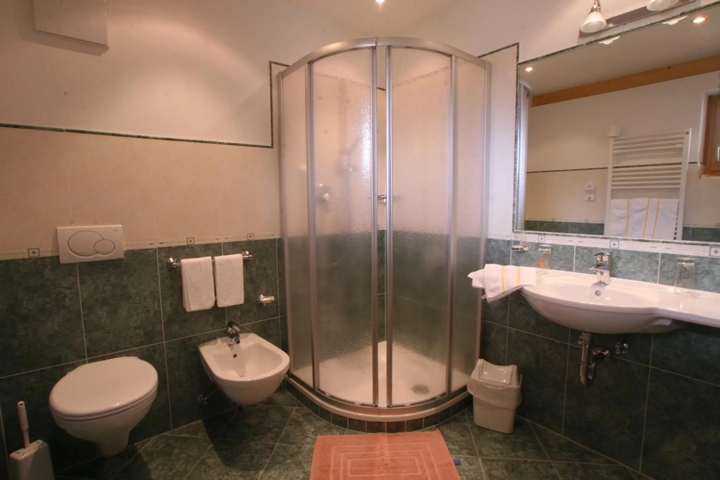 Single Room in Hotel Resa Blancia Single Room in Hotel Resa Blancia