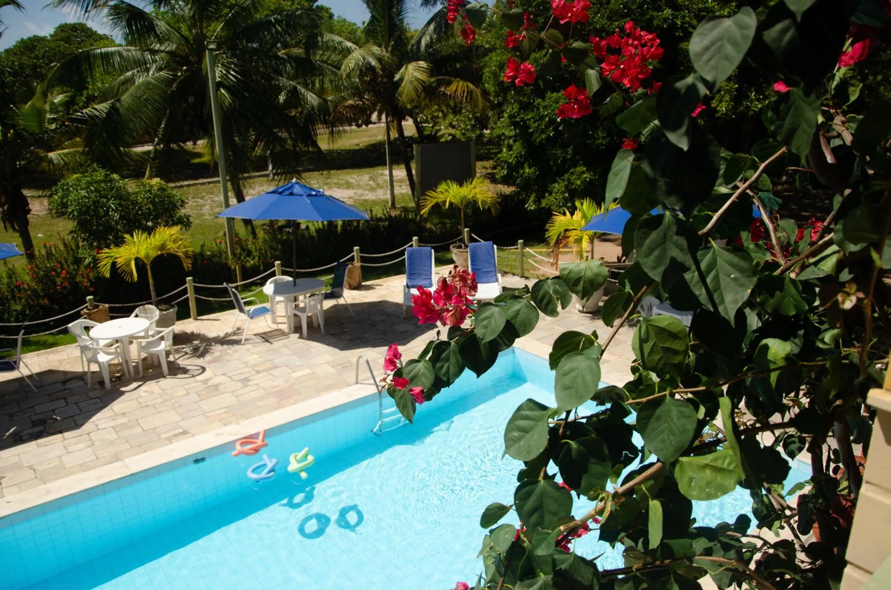 Day in Pousada das Bromélias