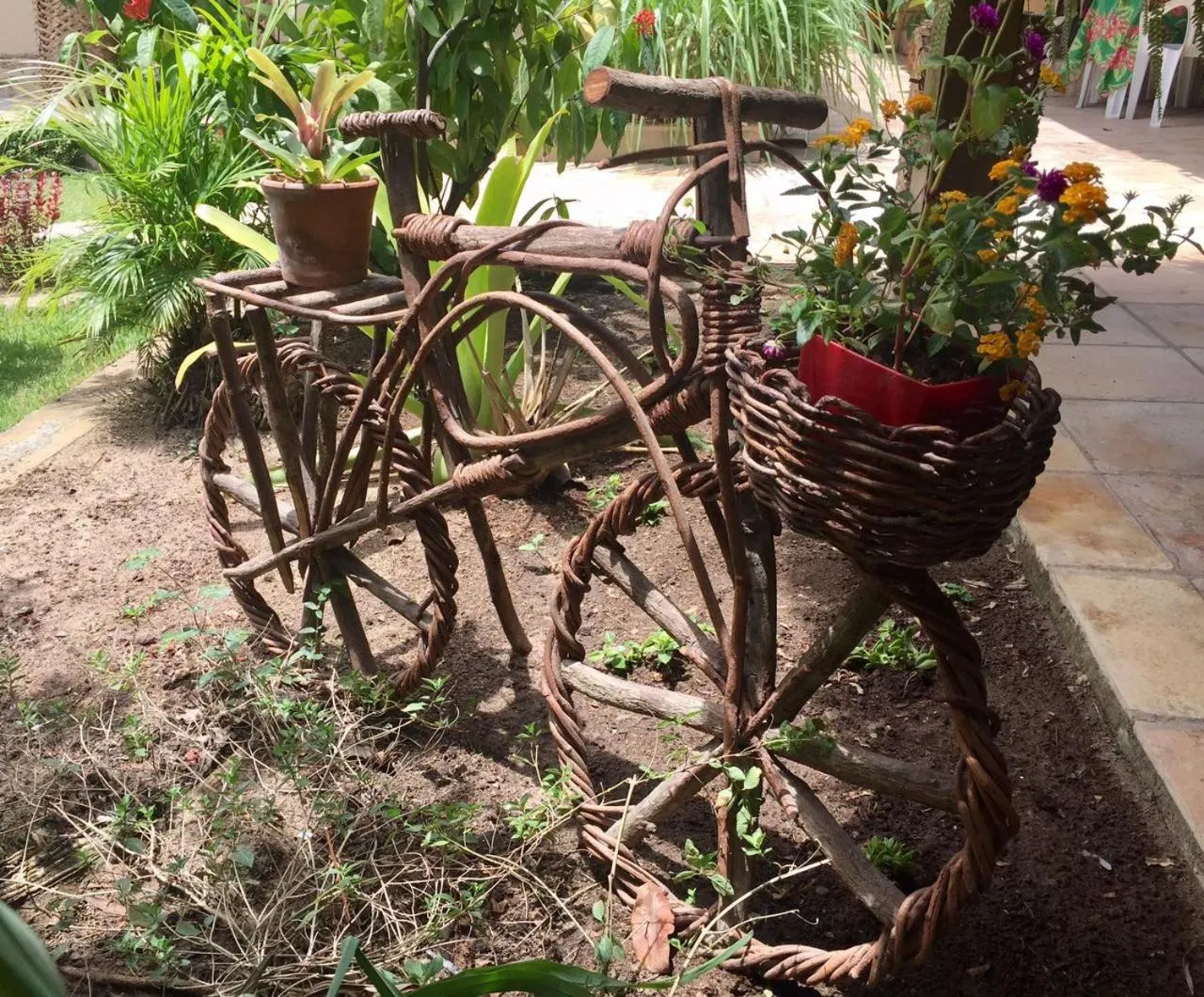 Garden in Pousada das Bromélias
