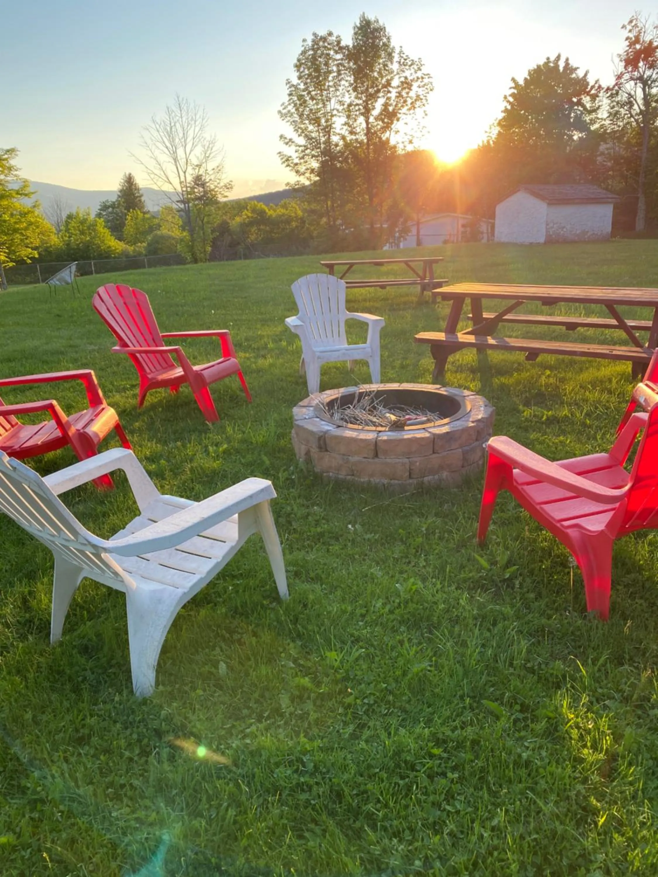 Garden in The Sunview Motel