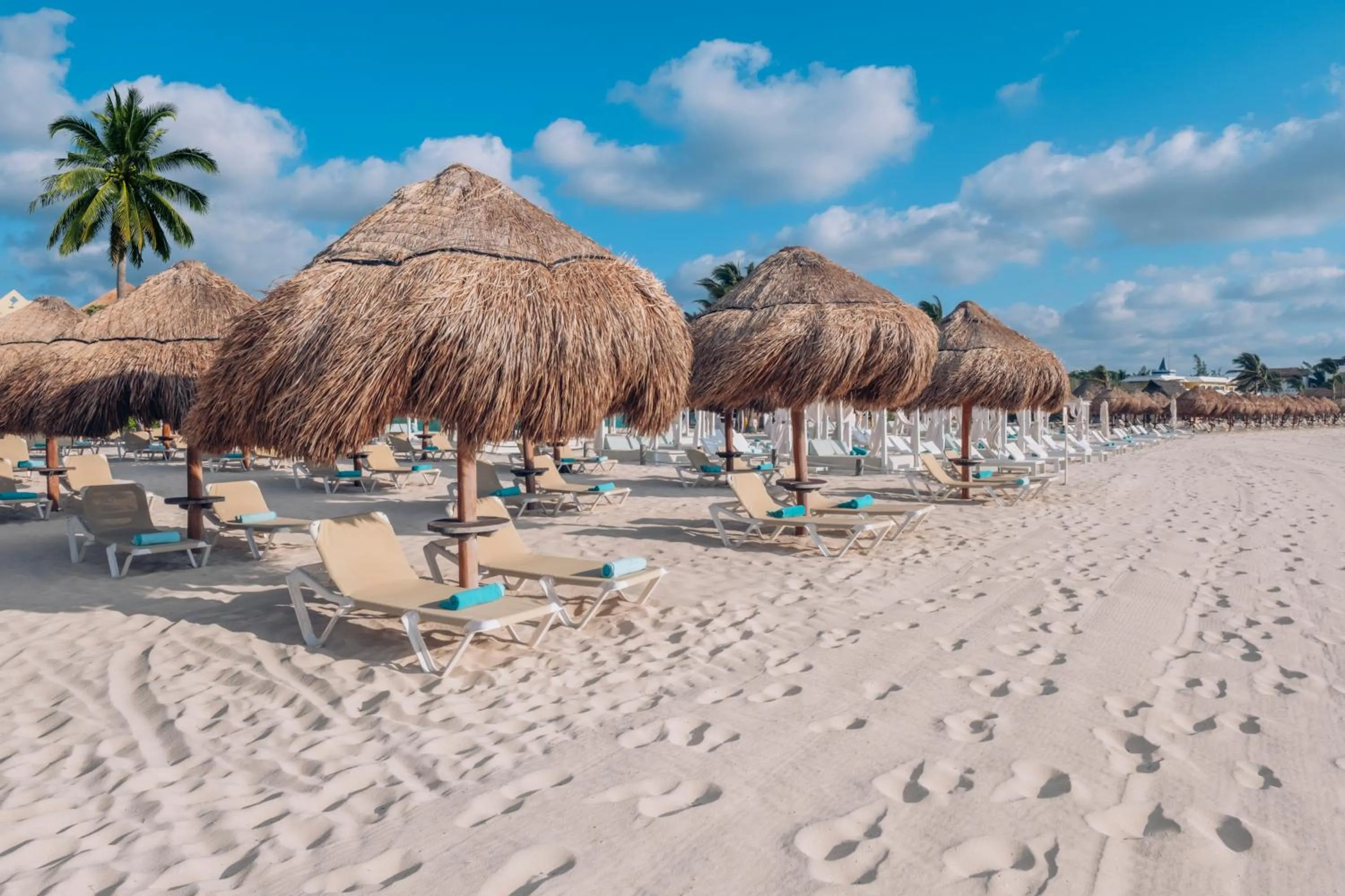 Beach in Iberostar Selection Paraíso Lindo - All Inclusive