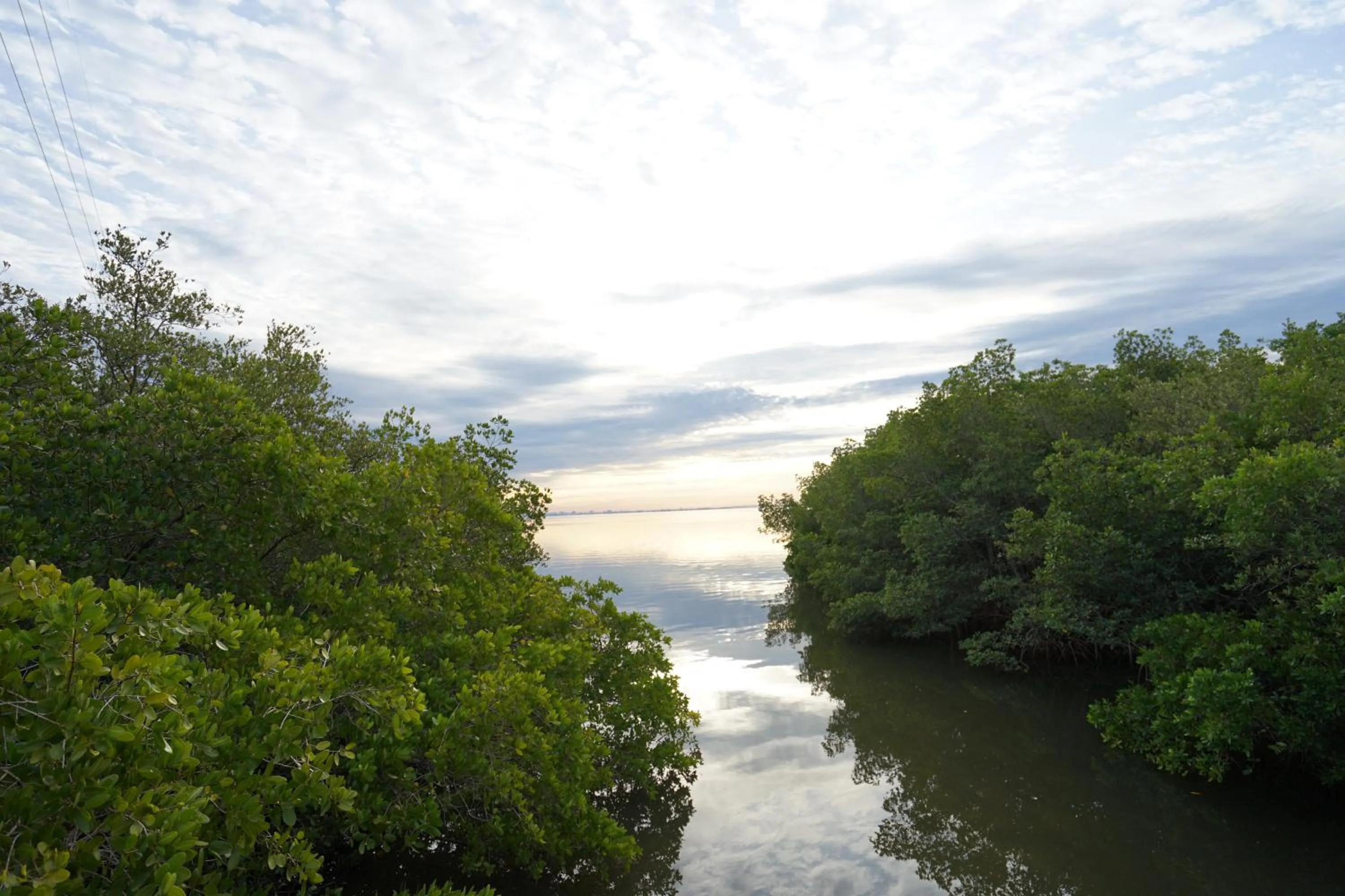 Natural landscape in Mar Bay Exclusive Suites
