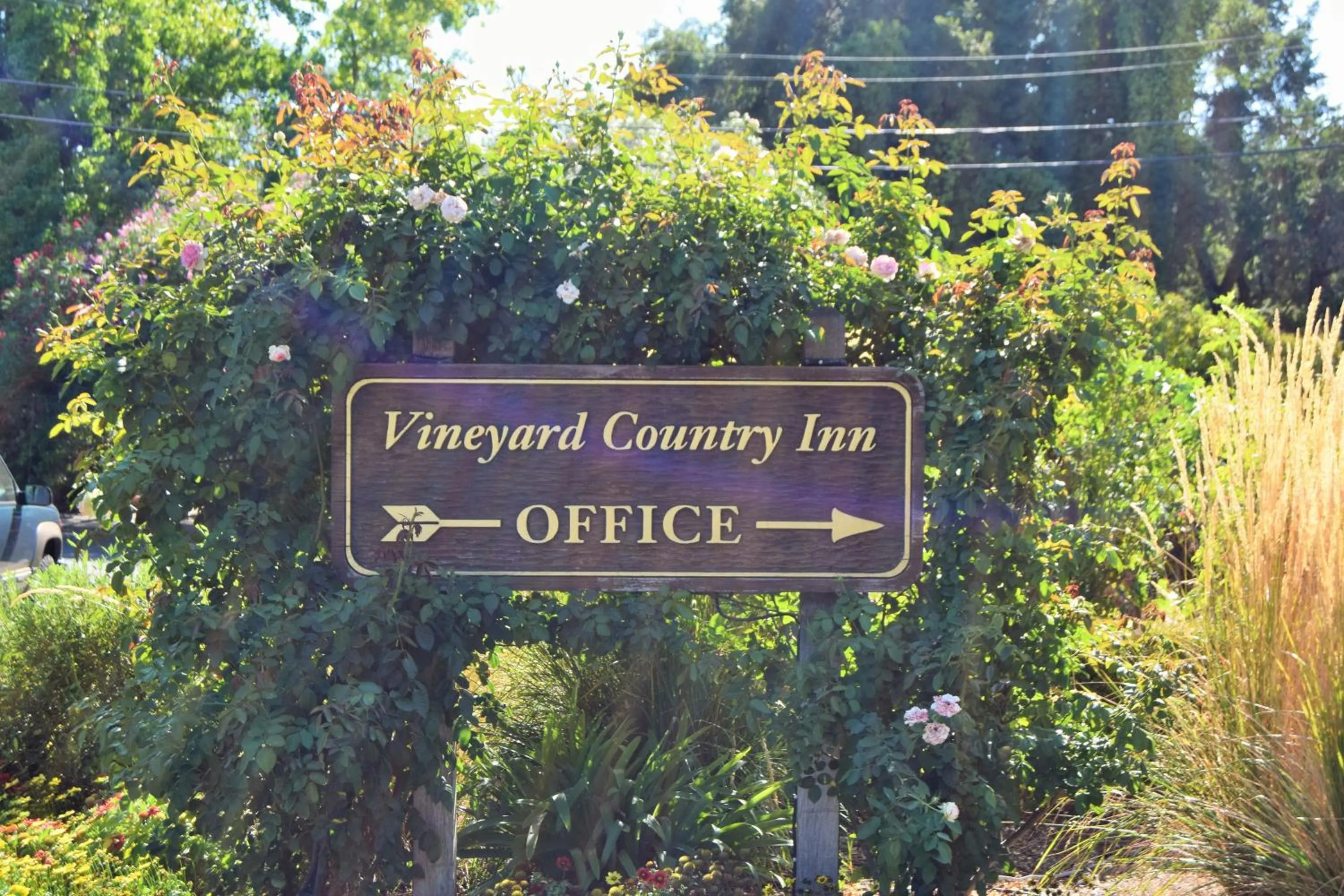 Vineyard Country Inn