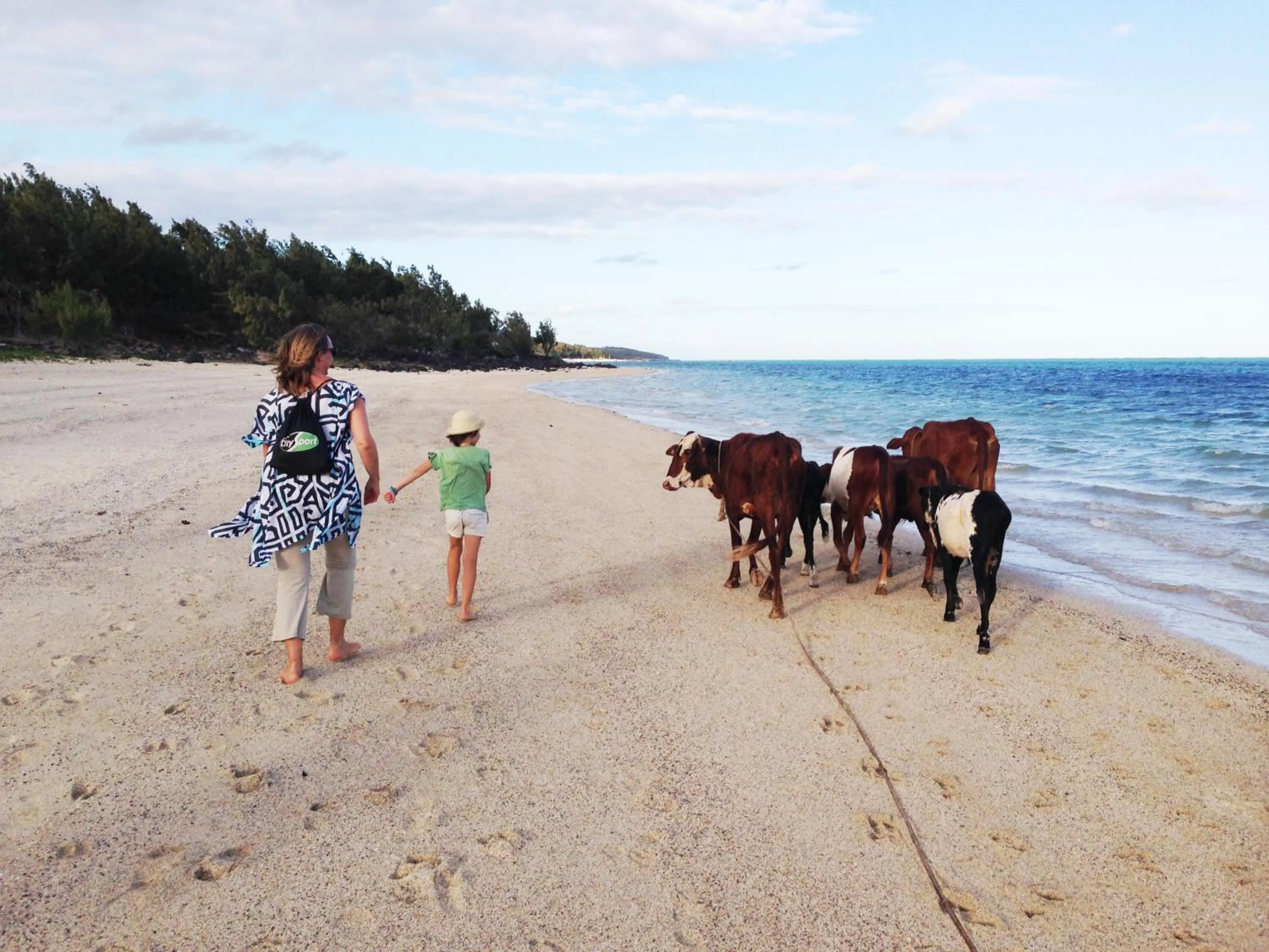 Beach in Bakwa Lodge