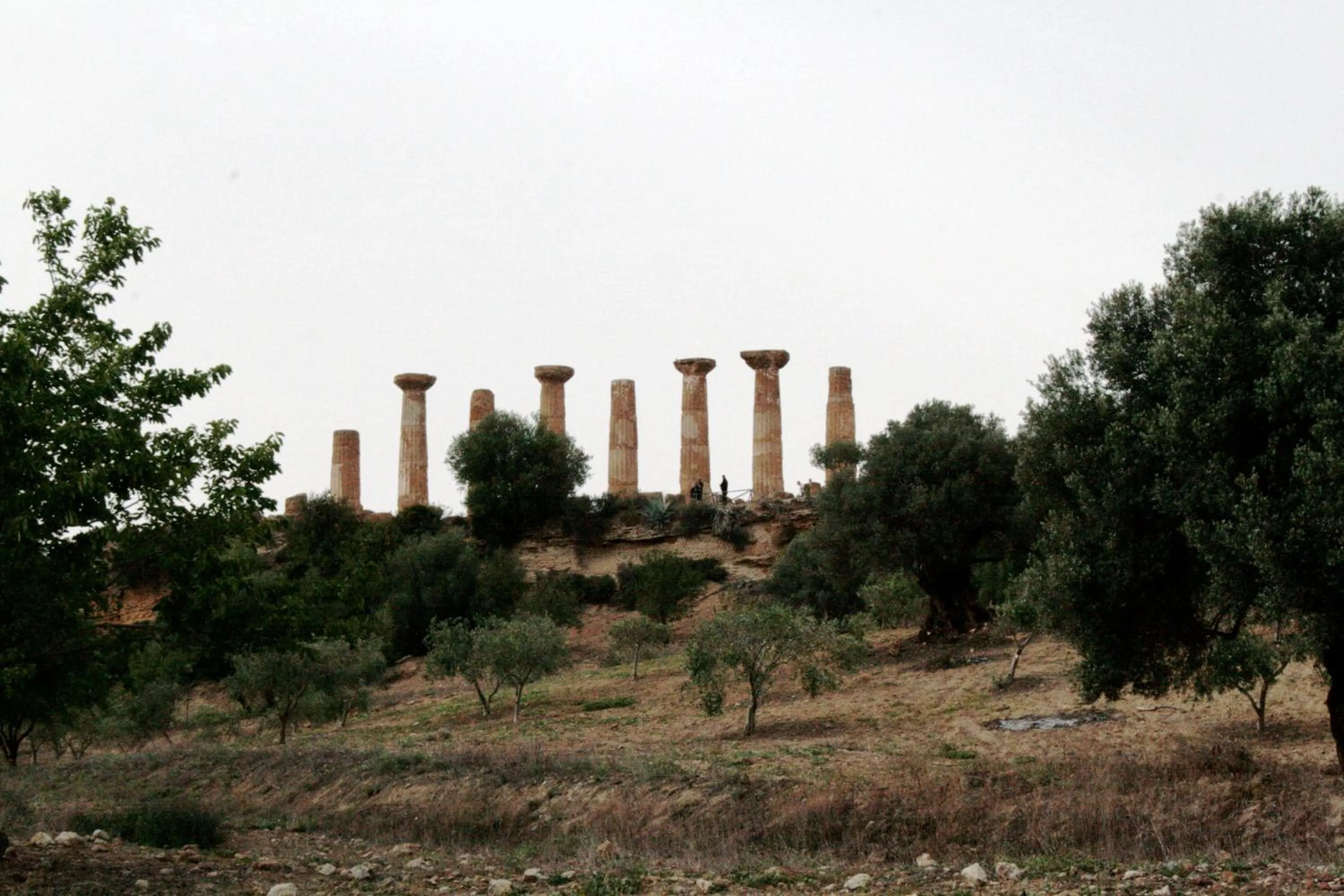 Nearby landmark in Parco dei Templi