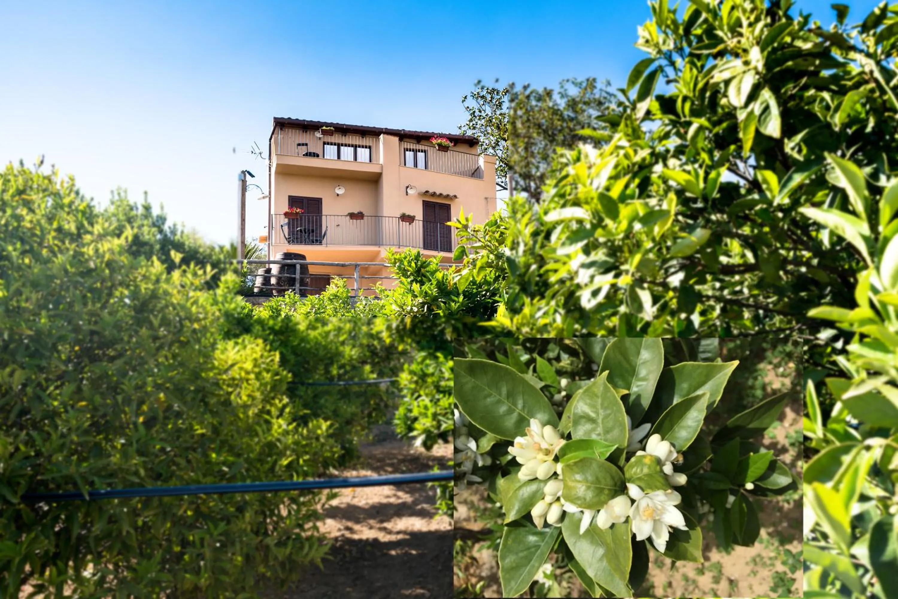 Garden view in Parco dei Templi
