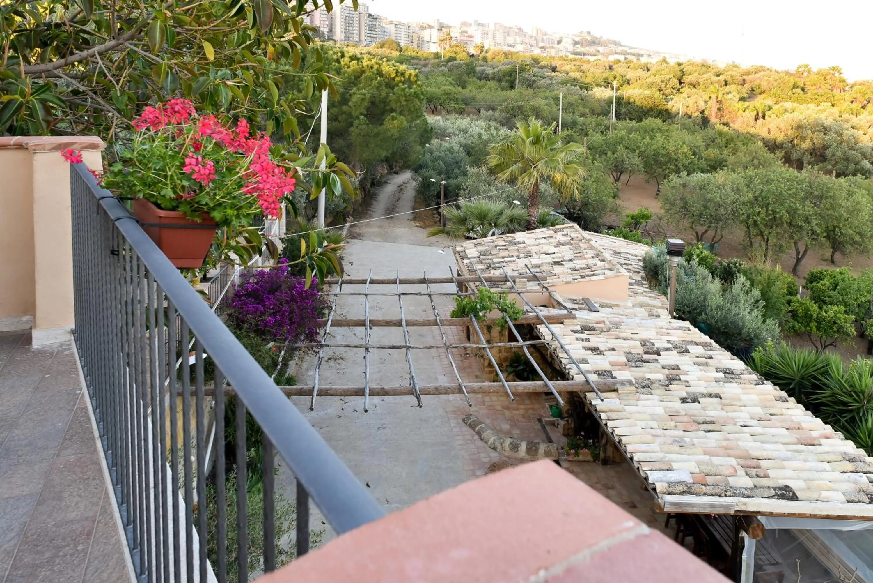 Street view in Parco dei Templi