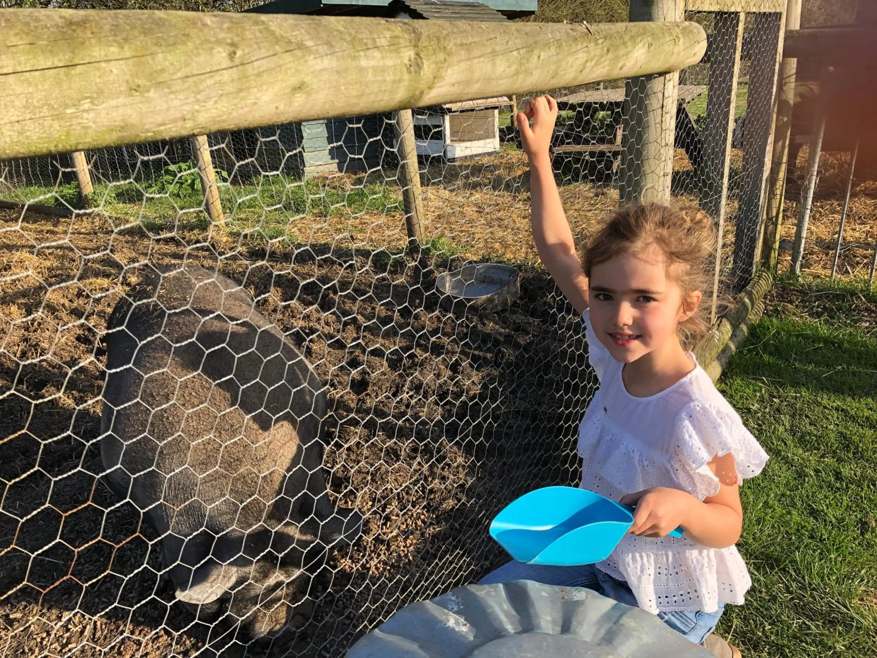 Animals in Windsor Studio East