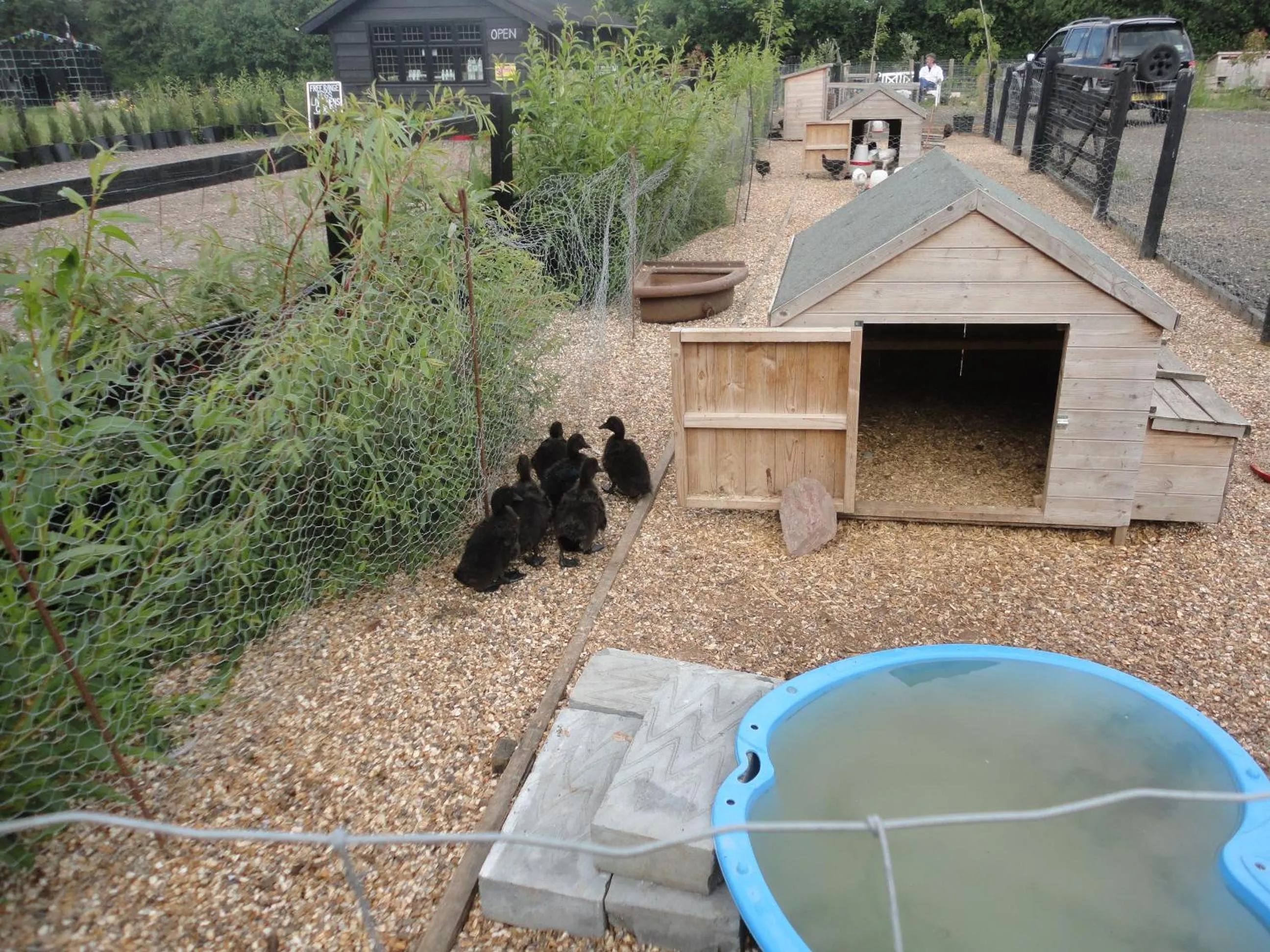 Day in Windsor Studio East